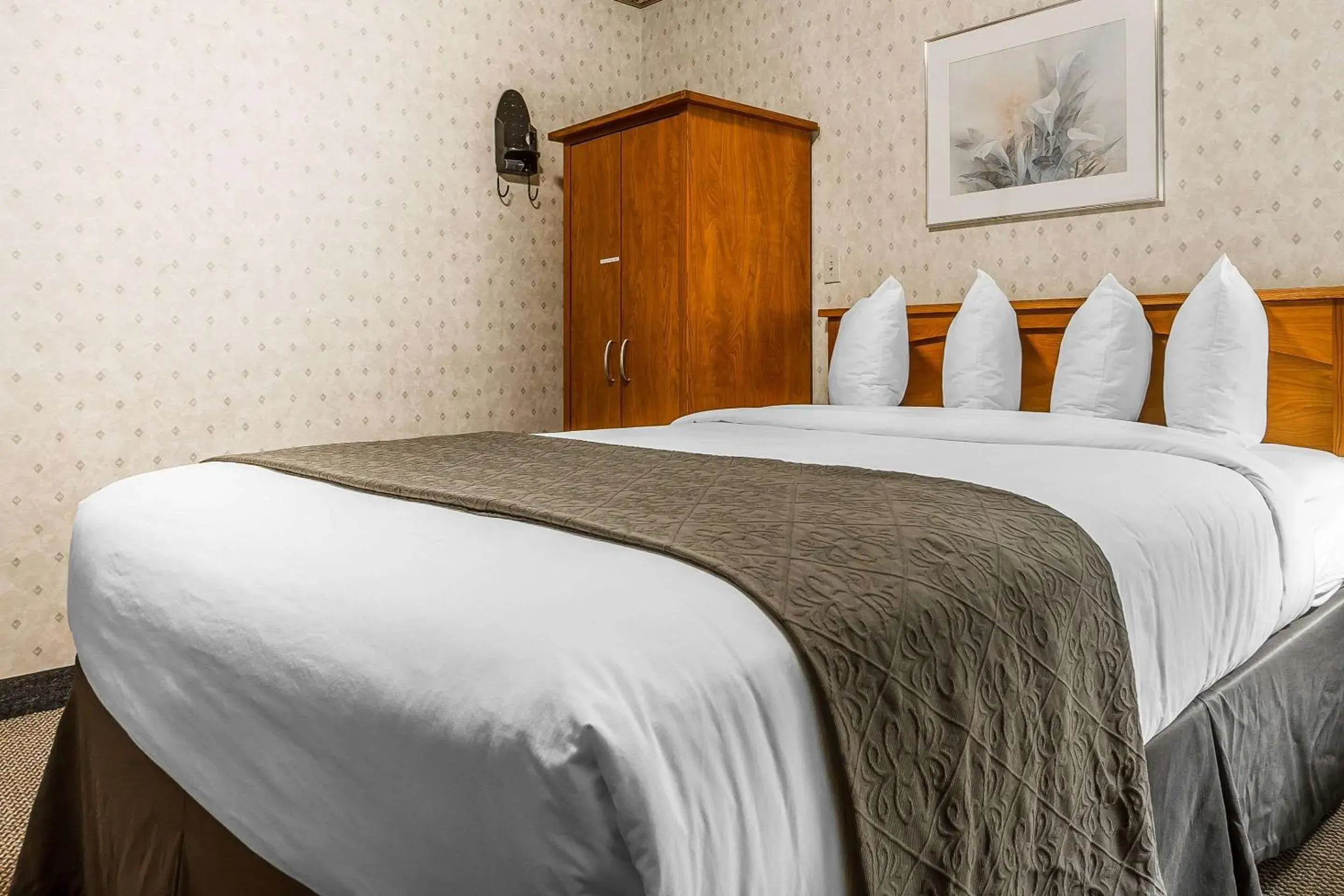 Queen Suite - Disability Access in Quality Inn & Suites Silicon Valley Queen Suite - Disability Access in Quality Inn & Suites Silicon Valley