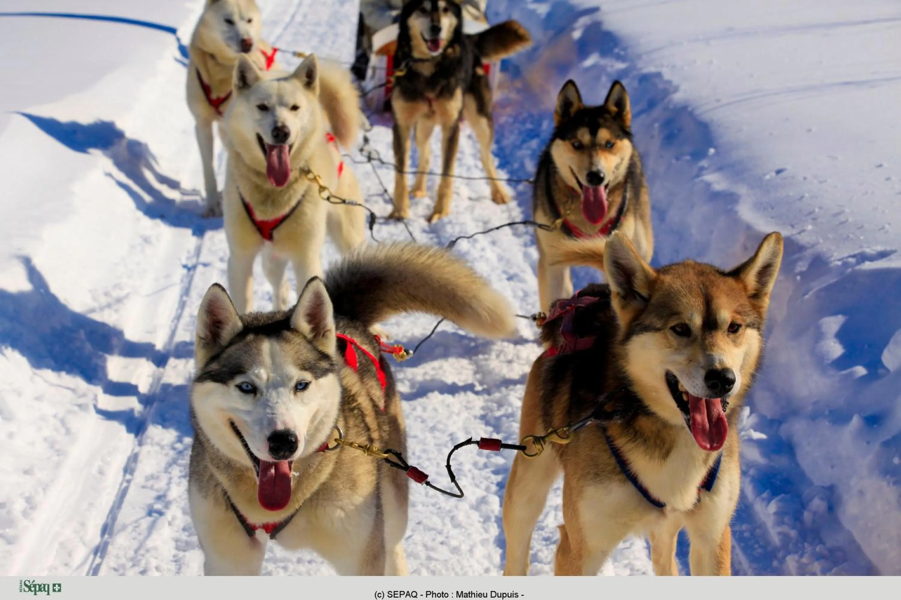 Activities in Station Touristique Duchesnay - Sepaq