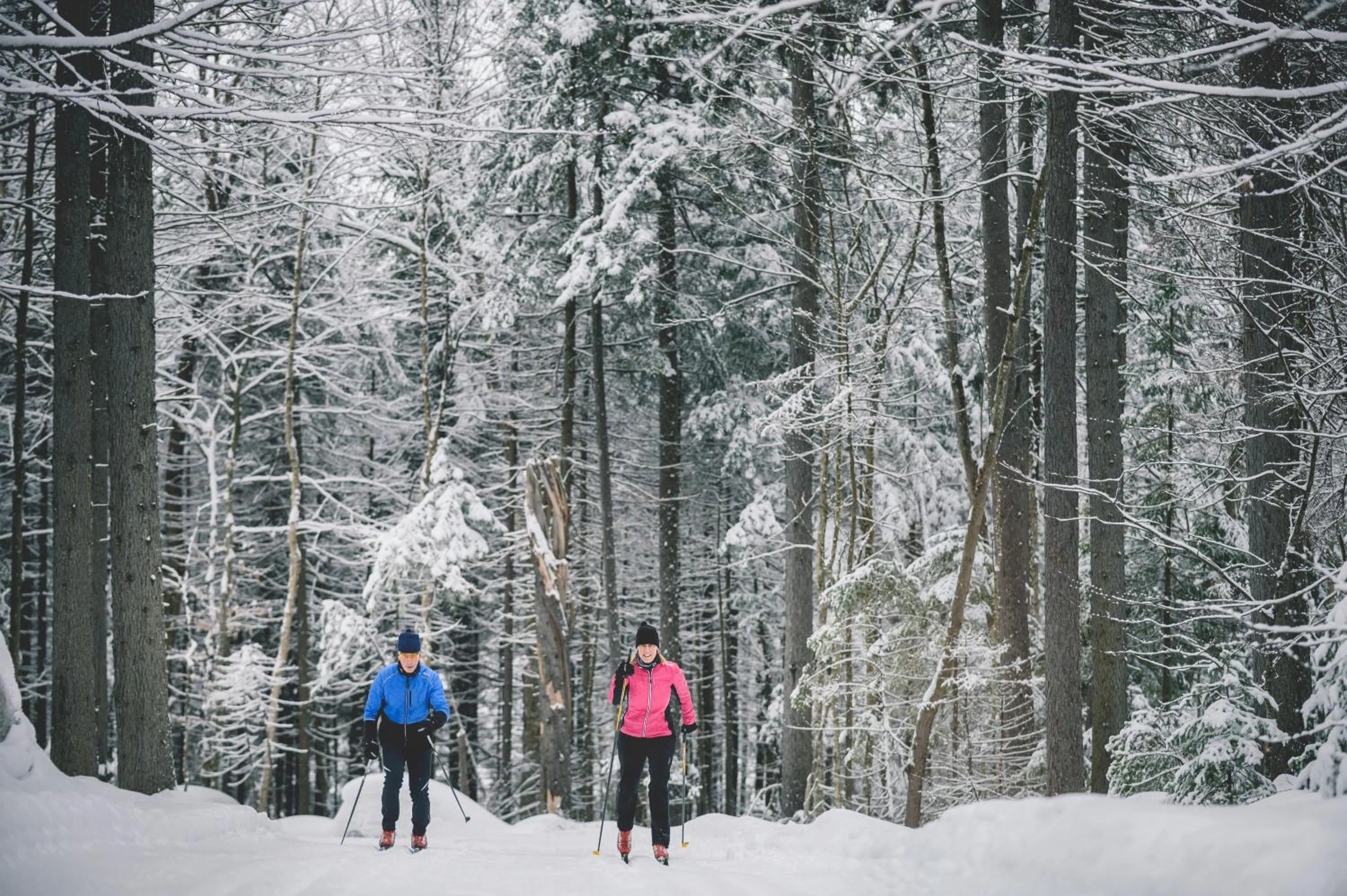 Winter in Station Touristique Duchesnay - Sepaq