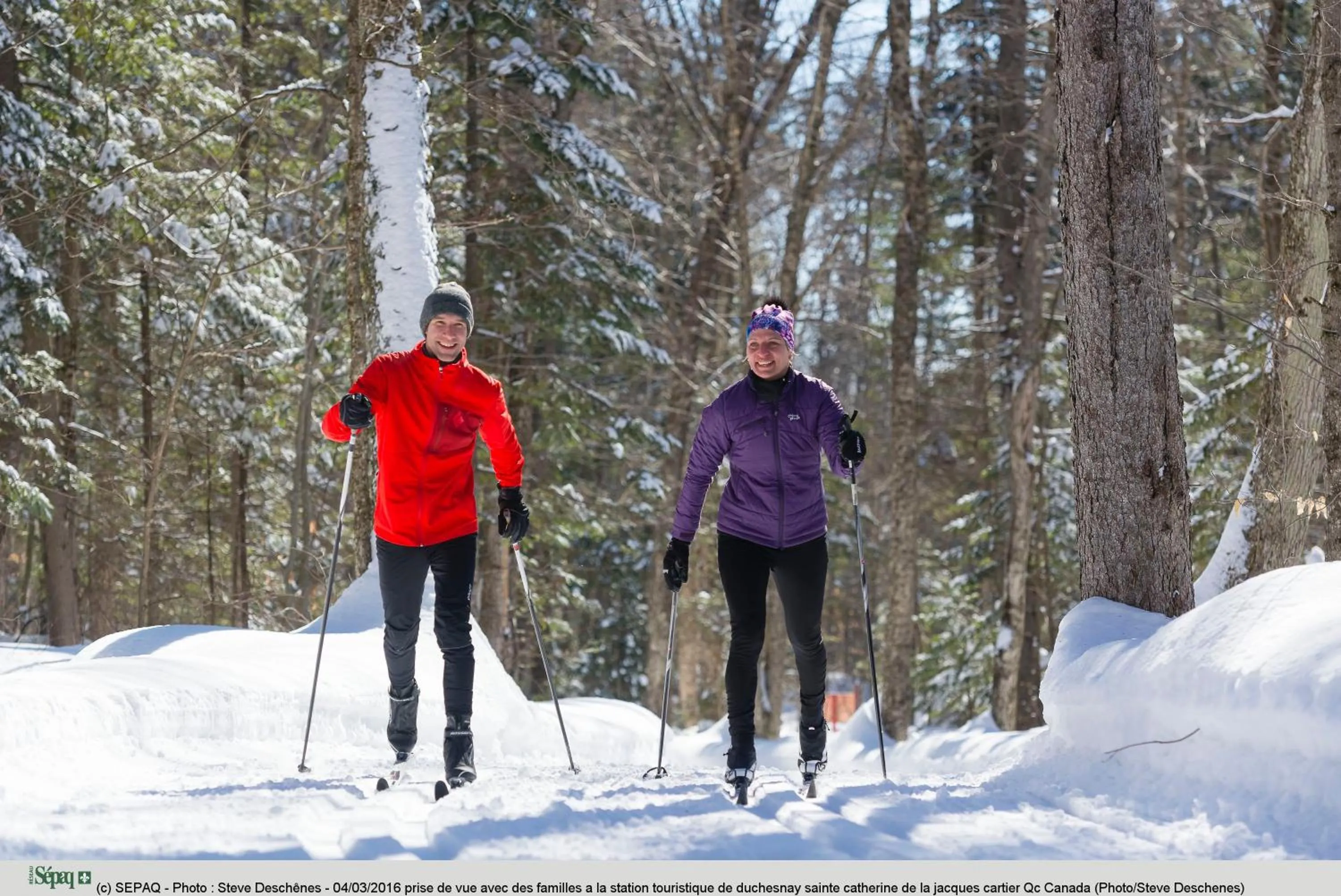 Natural landscape in Station Touristique Duchesnay - Sepaq