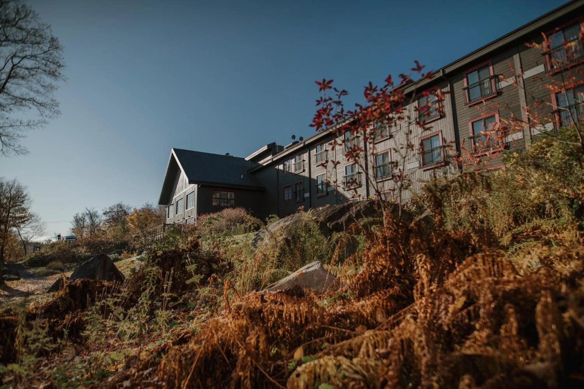 Autumn in Station Touristique Duchesnay - Sepaq