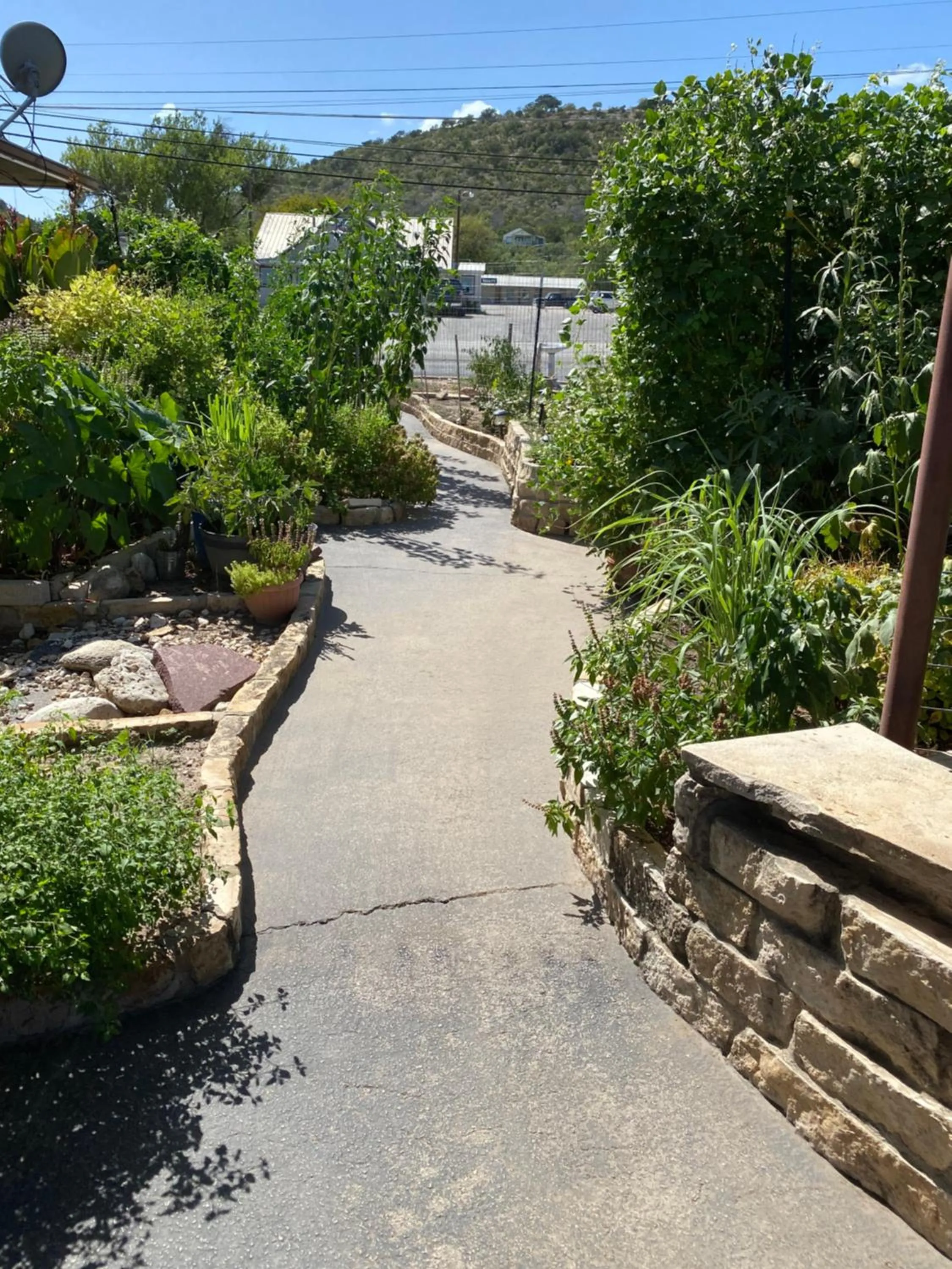 Garden in Americas Best Value Inn - Legend's Inn