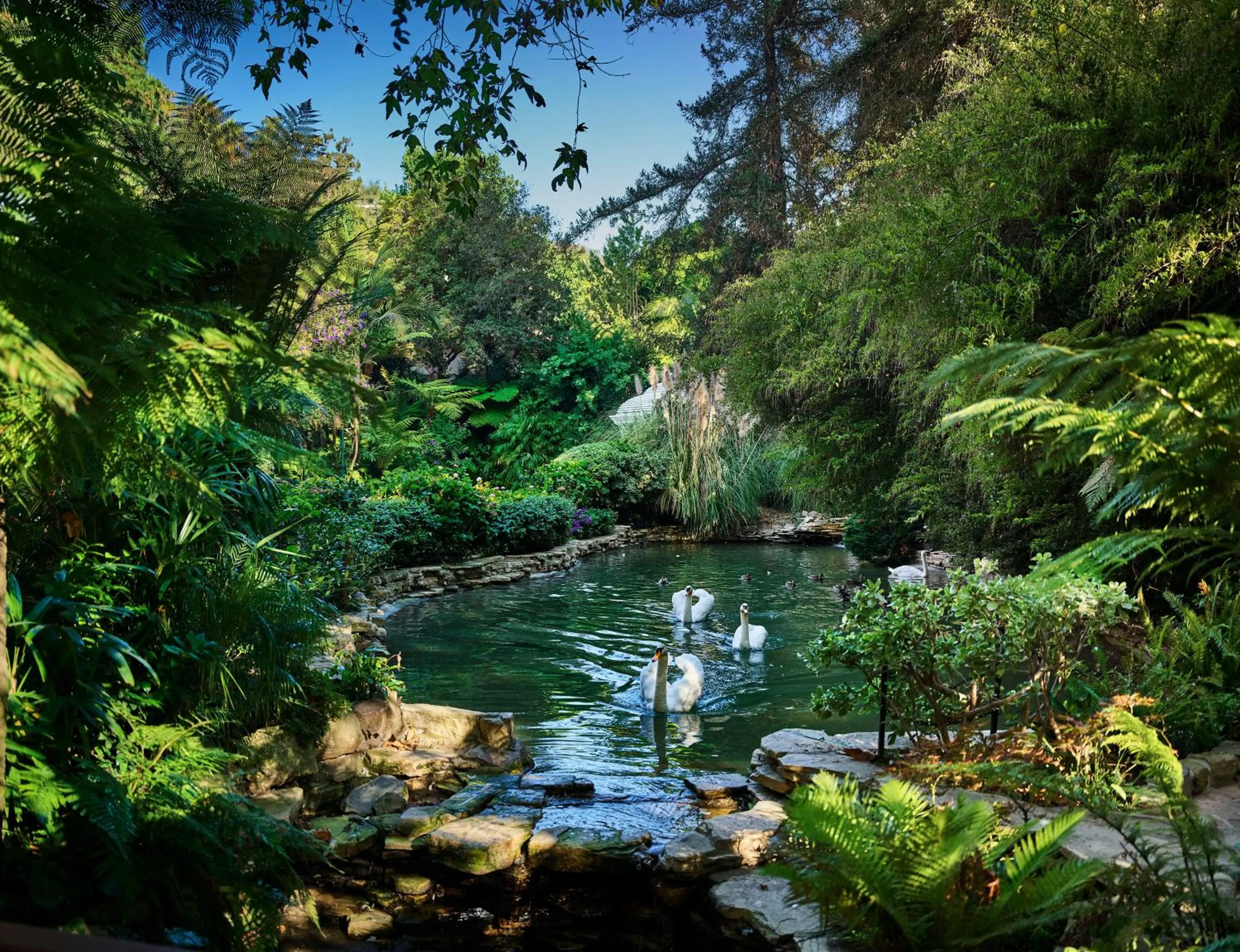 Garden in Hotel Bel-Air - Dorchester Collection