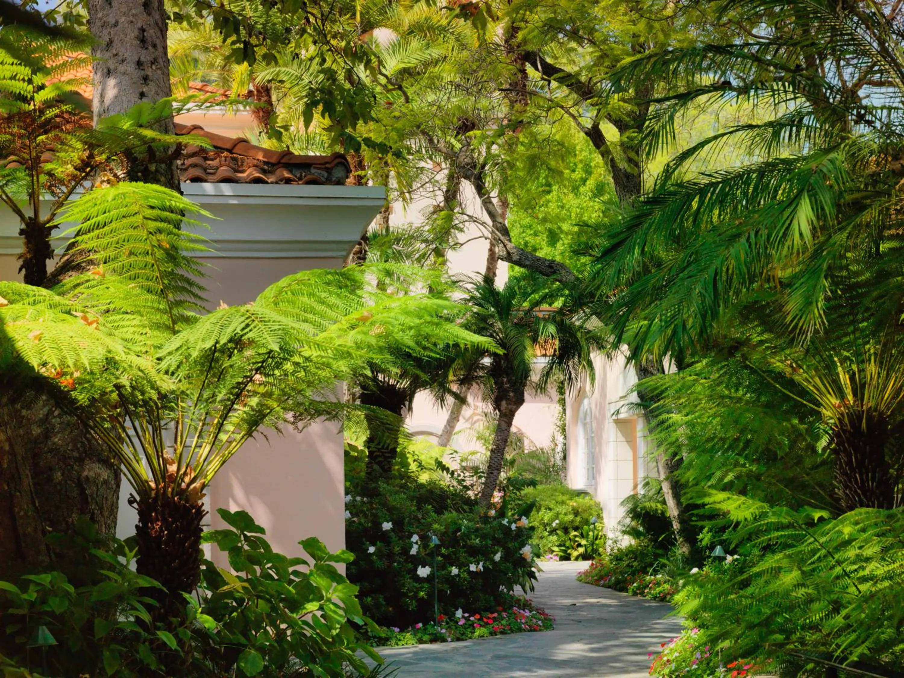 Garden in Hotel Bel-Air - Dorchester Collection
