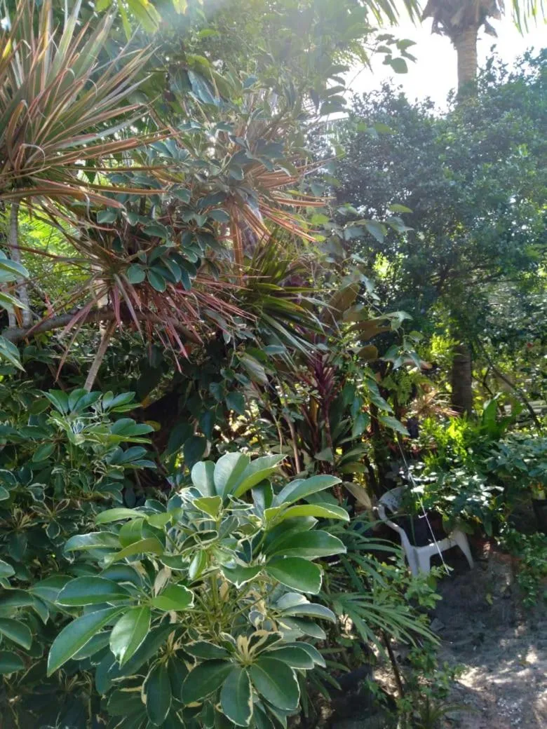 Garden in Hospedaria D'Maria