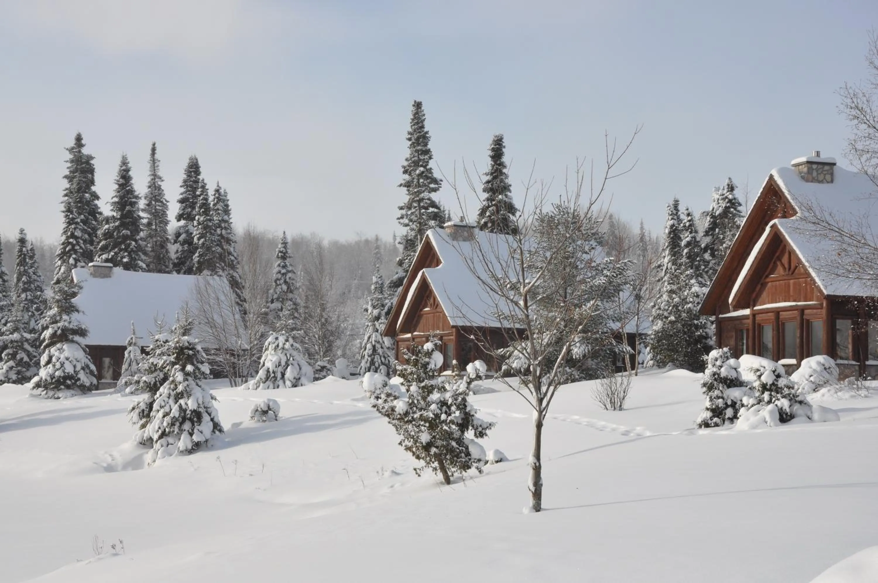 Chalets Royal Laurentien