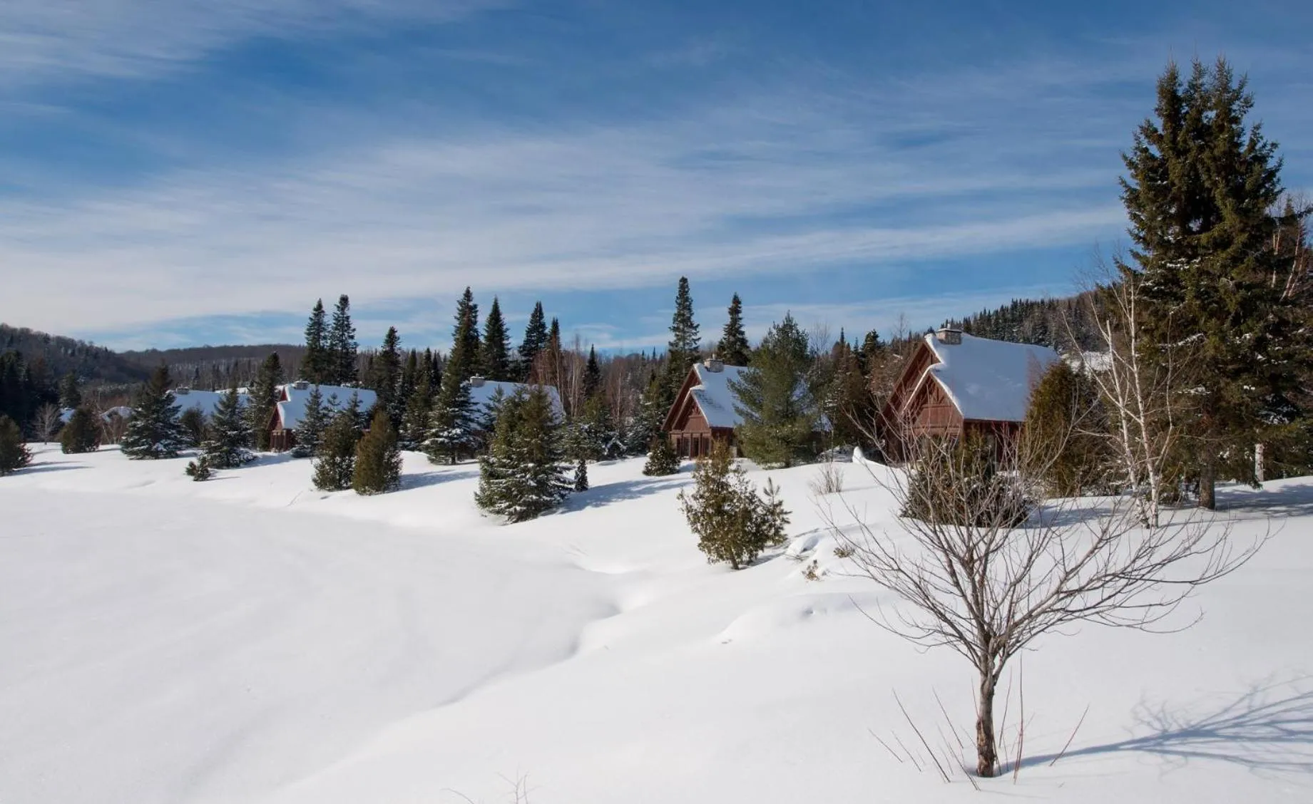 Two-Bedroom Chalet in Chalets Royal Laurentien