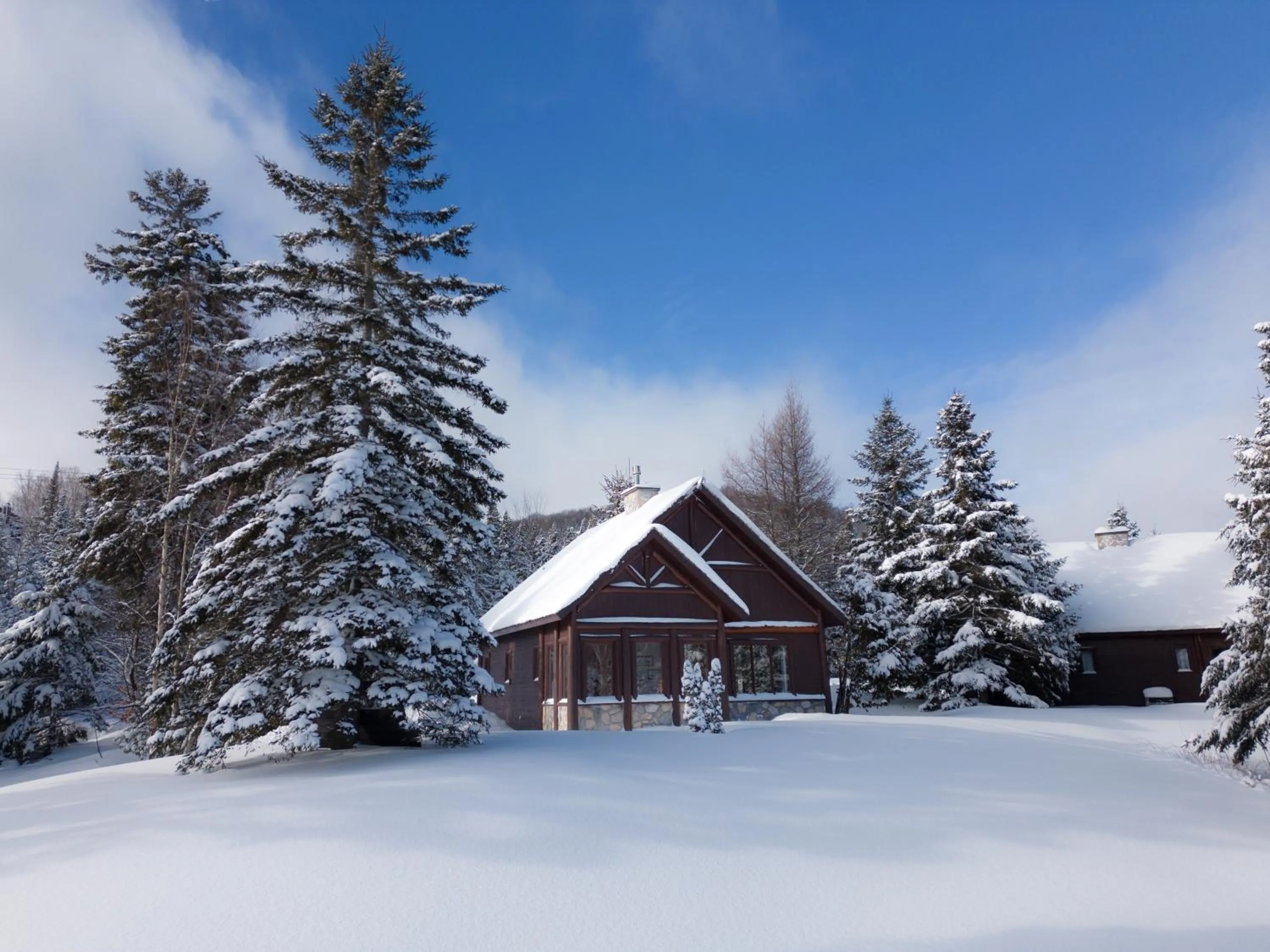 One-Bedroom Chalet in Chalets Royal Laurentien