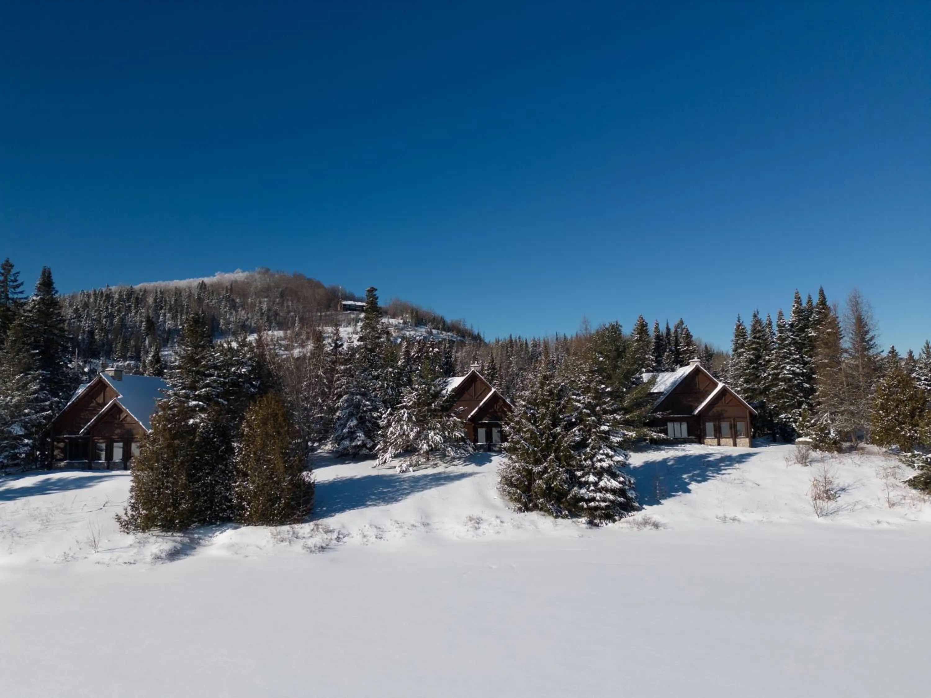 Chalets Royal Laurentien