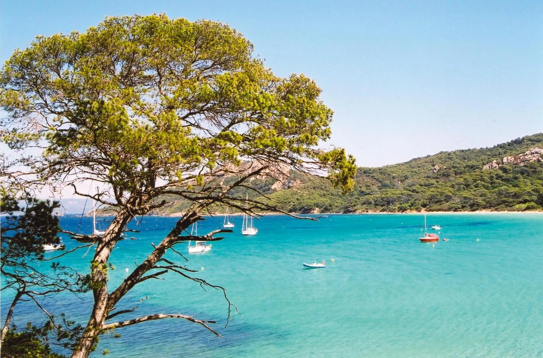 Natural landscape in Azureva La Londe les Maures