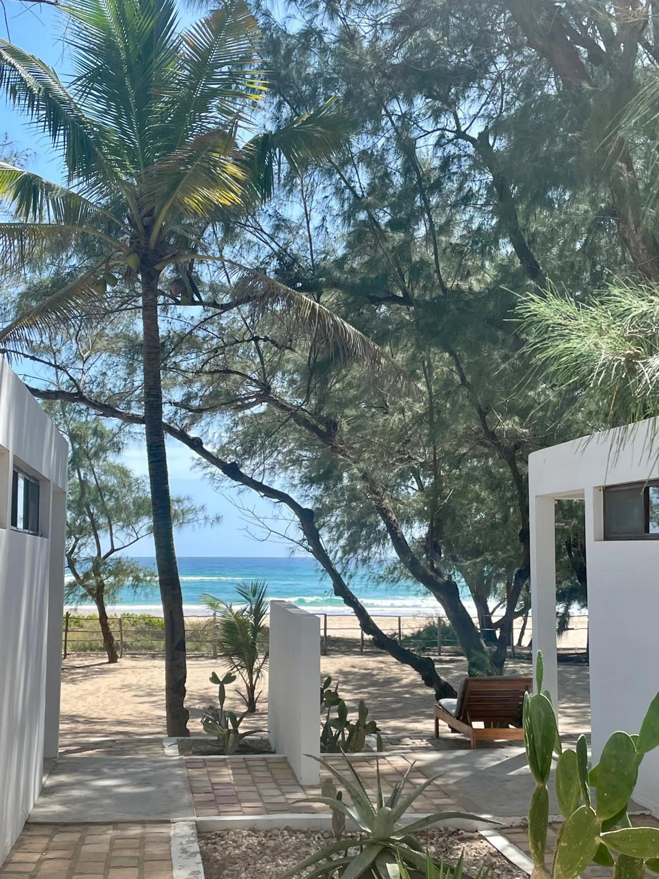 Beach in Liquid Dive Adventures