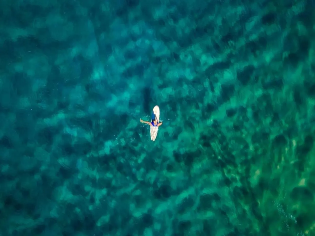 Activities in Liquid Dive Adventures