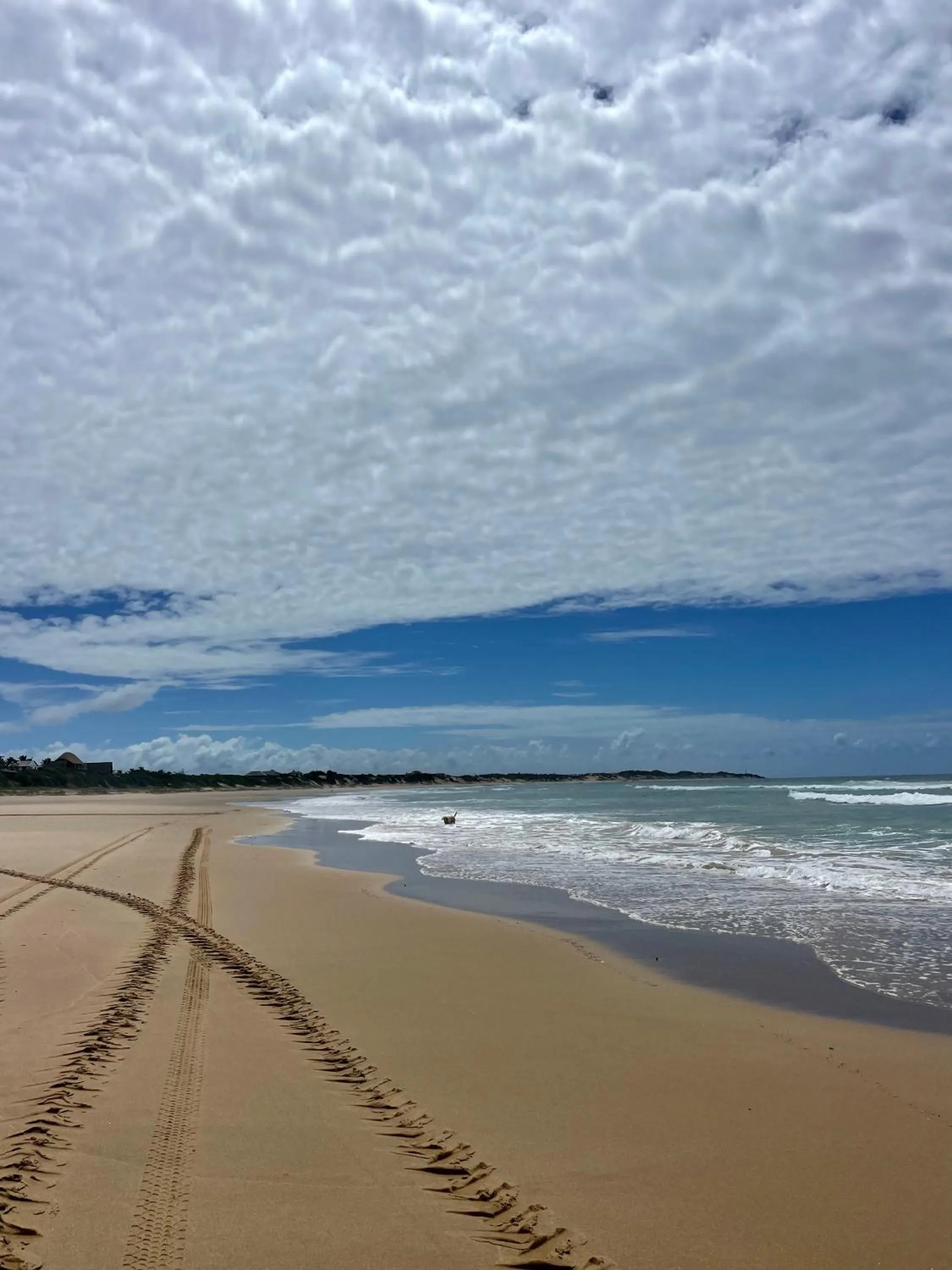 Natural landscape in Liquid Dive Adventures