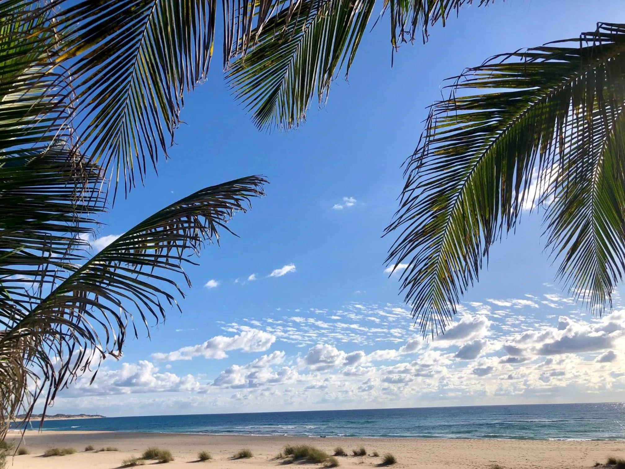 Beach in Liquid Dive Adventures
