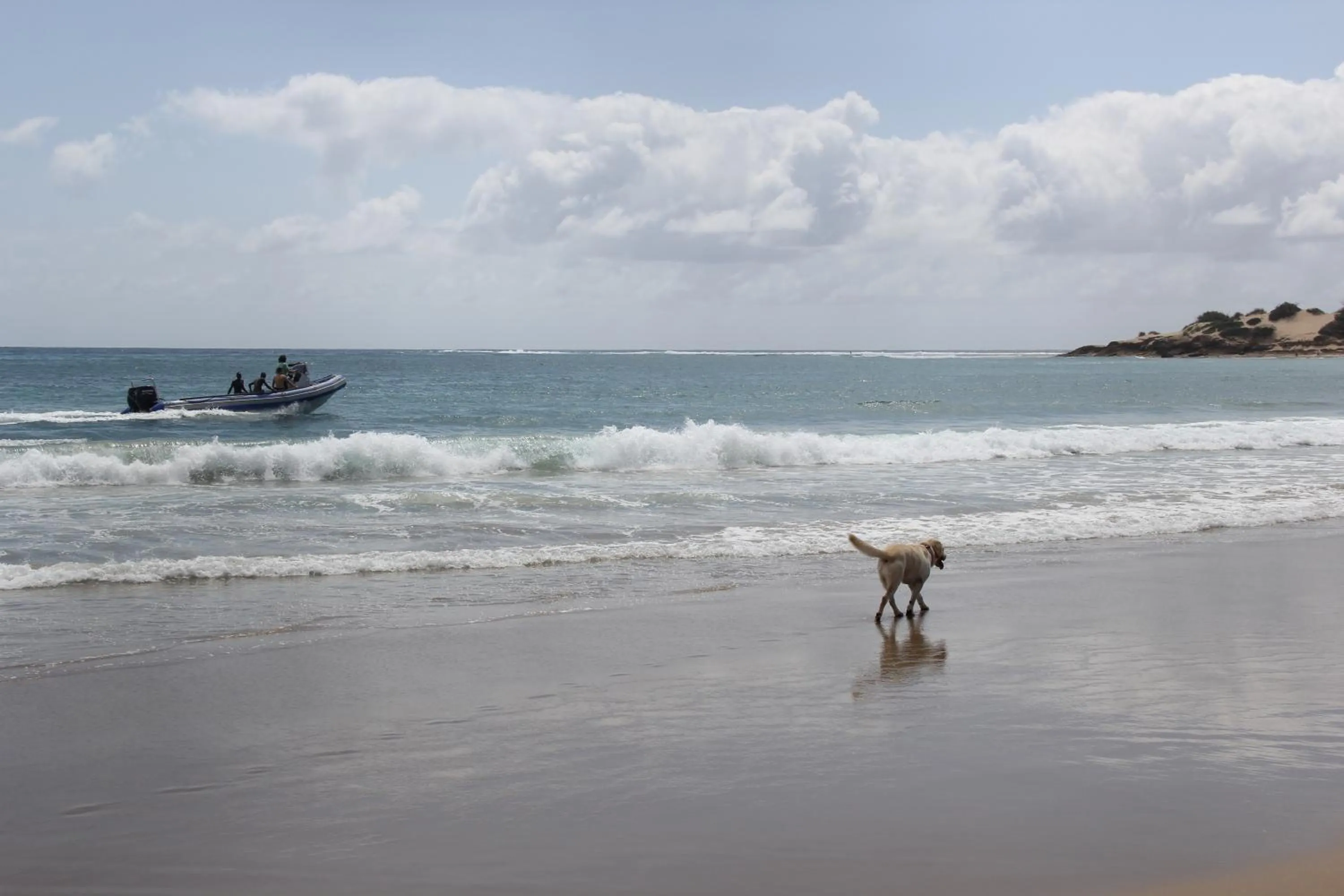 Snorkeling in Liquid Dive Adventures