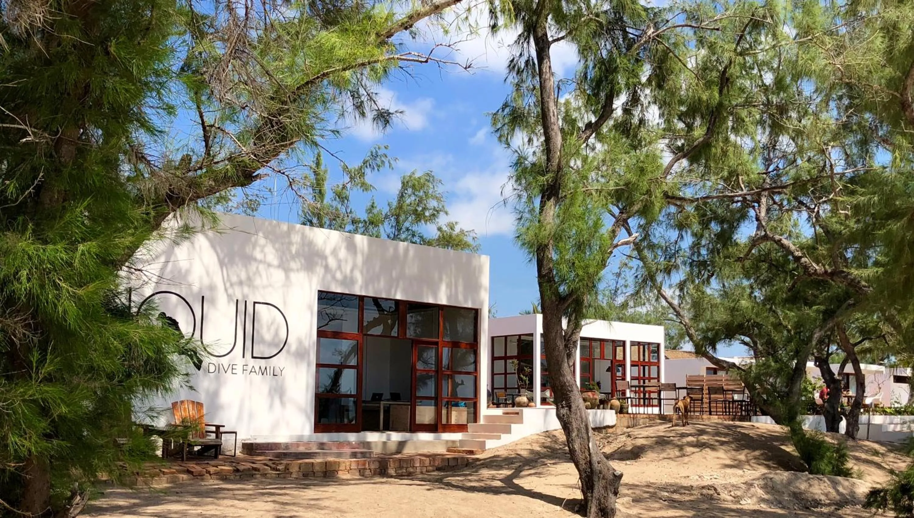 Property building in Liquid Dive Adventures