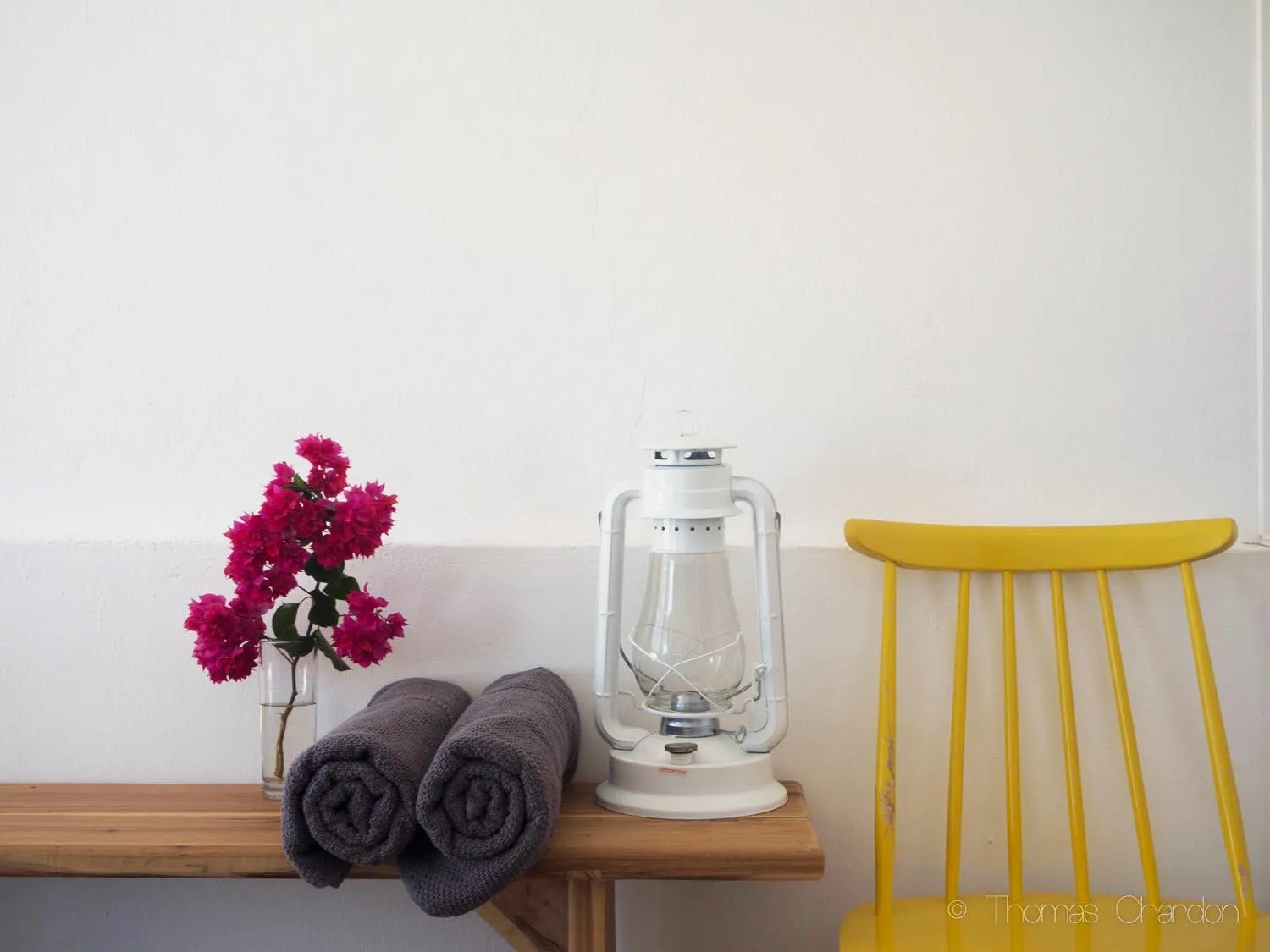 Decorative detail in Liquid Dive Adventures