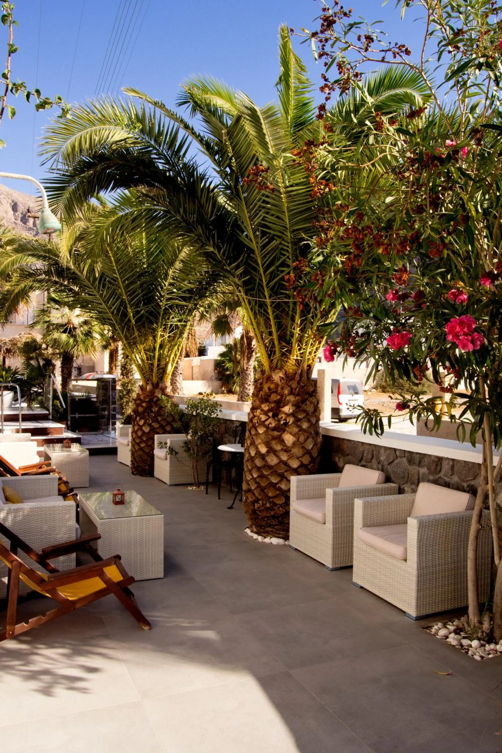 Garden in Black Sandy Beach