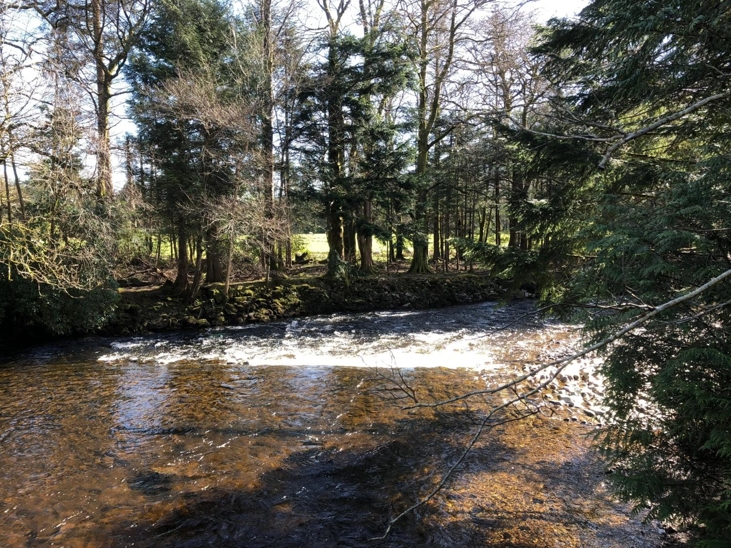 Property building in The Wee Ludging Cottage, Rashfield, by Dunoon