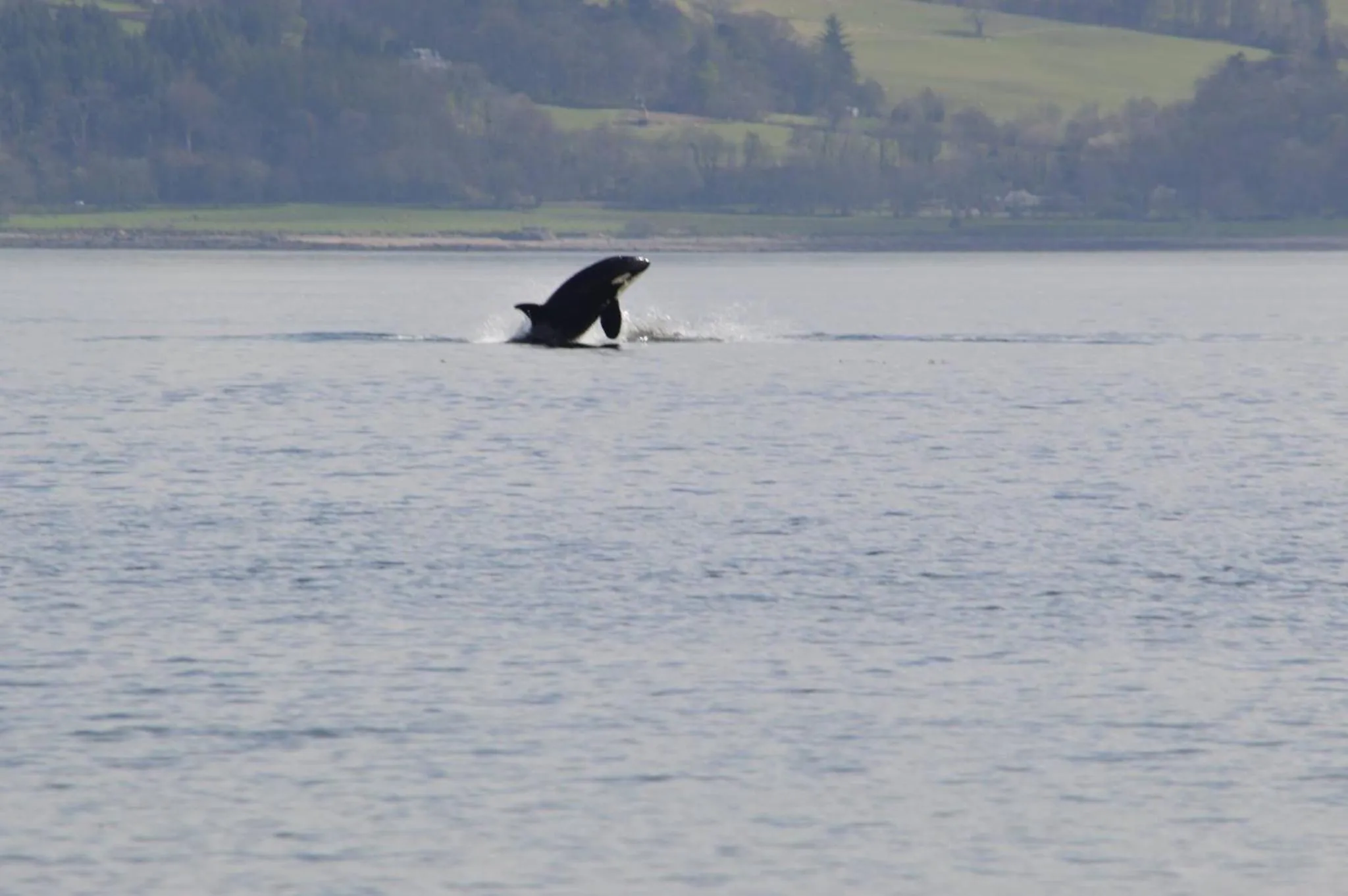Activities in The Wee Ludging Cottage, Rashfield, by Dunoon