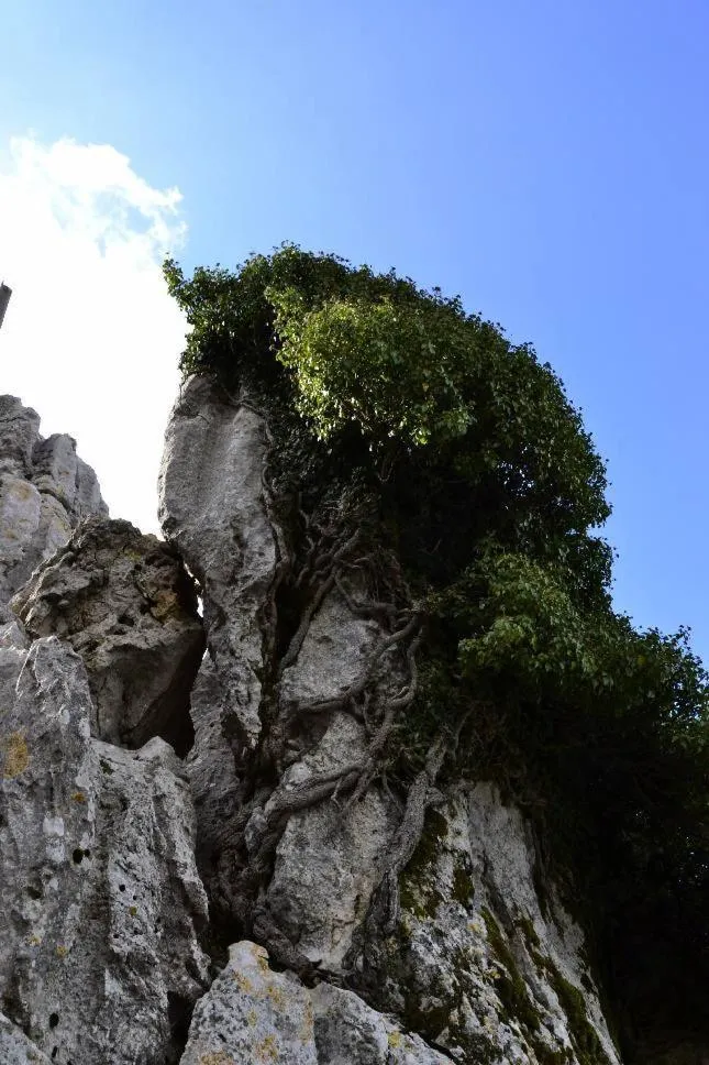 Natural landscape in Kalliopi Hotel