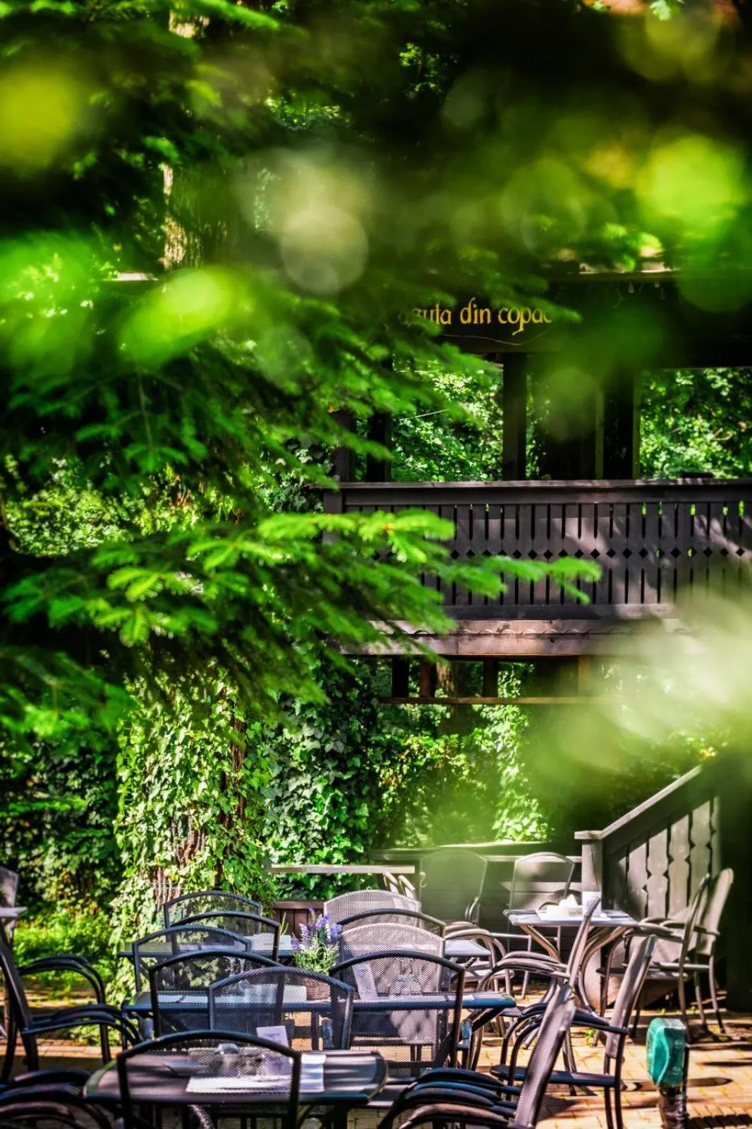 Garden view in Hotel Cornul Vanatorului
