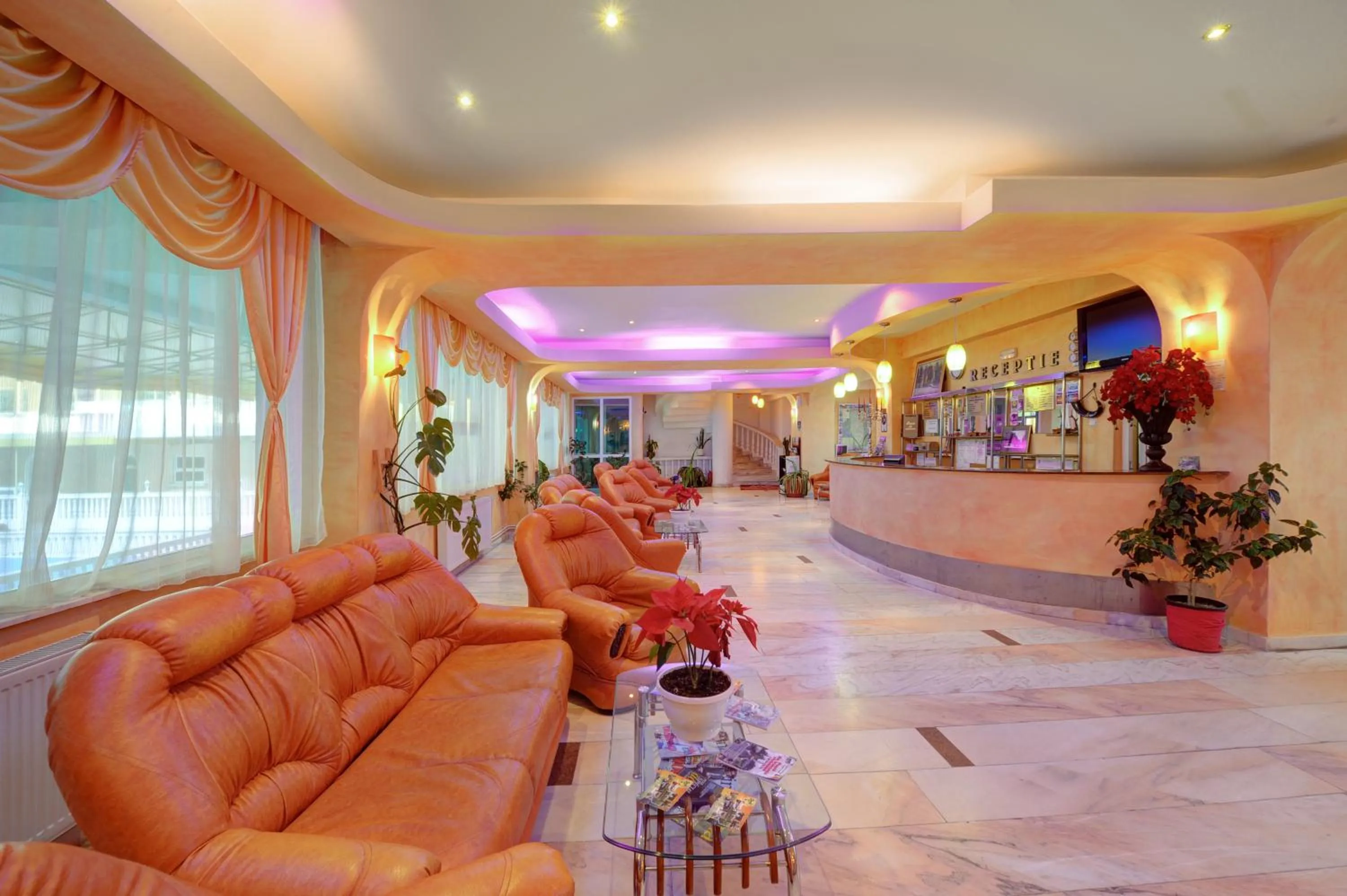 Lobby or reception in Hotel Cornul Vanatorului