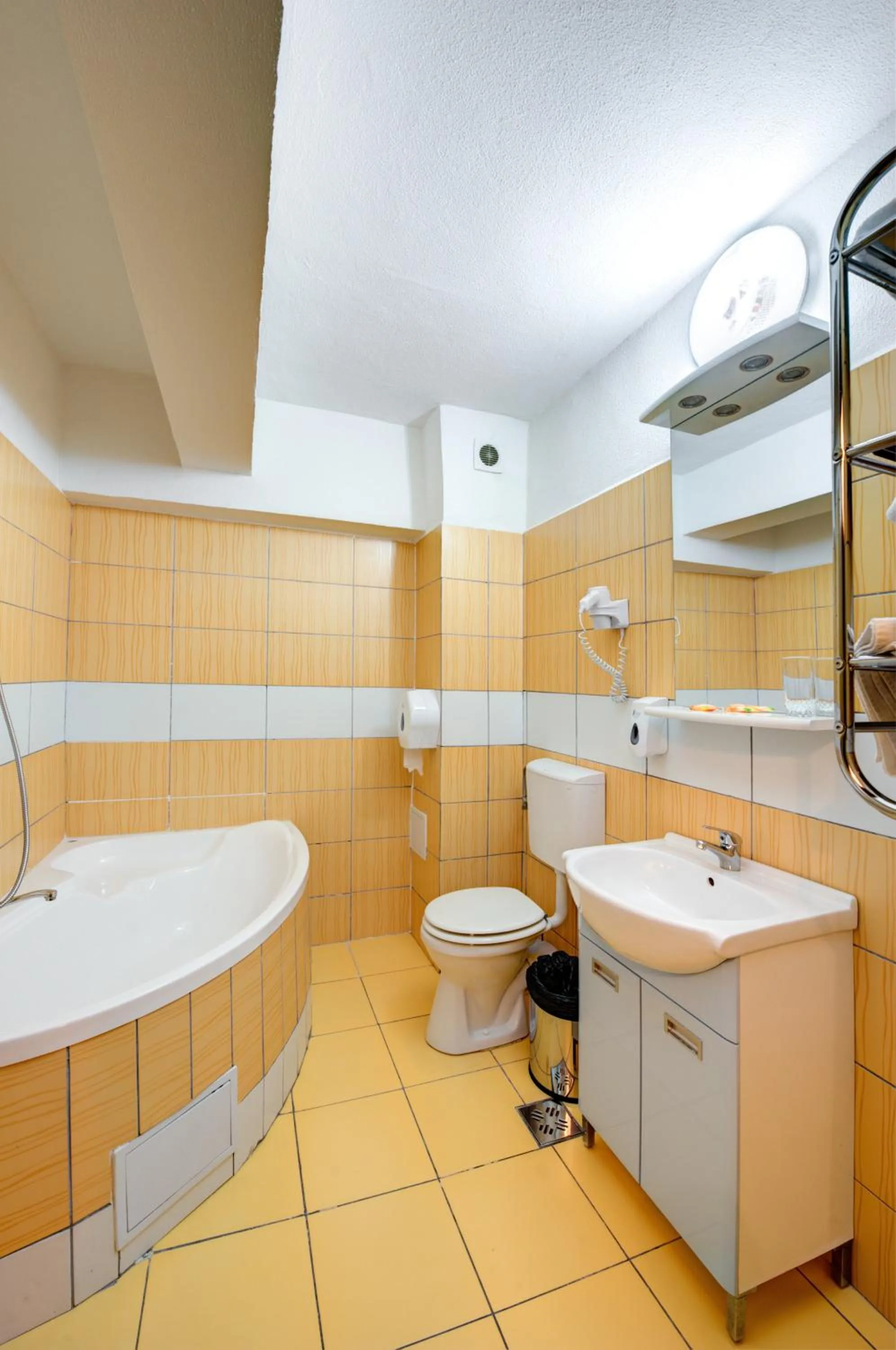 Toilet in Hotel Cornul Vanatorului