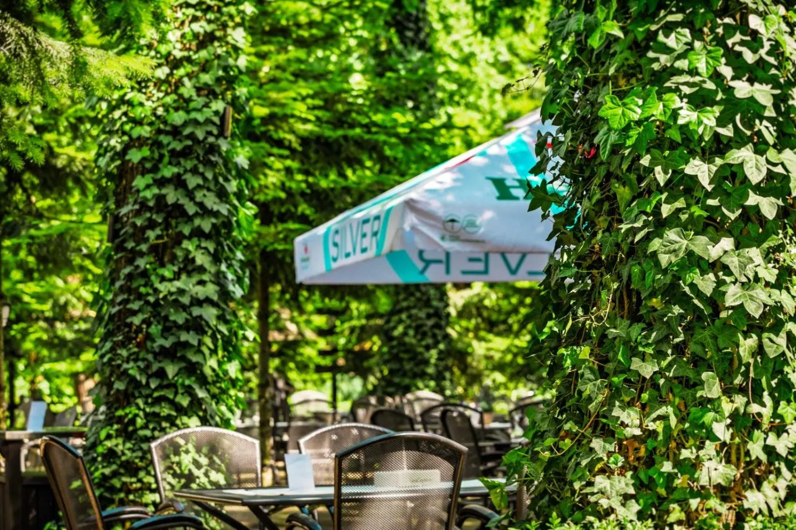 Natural landscape in Hotel Cornul Vanatorului