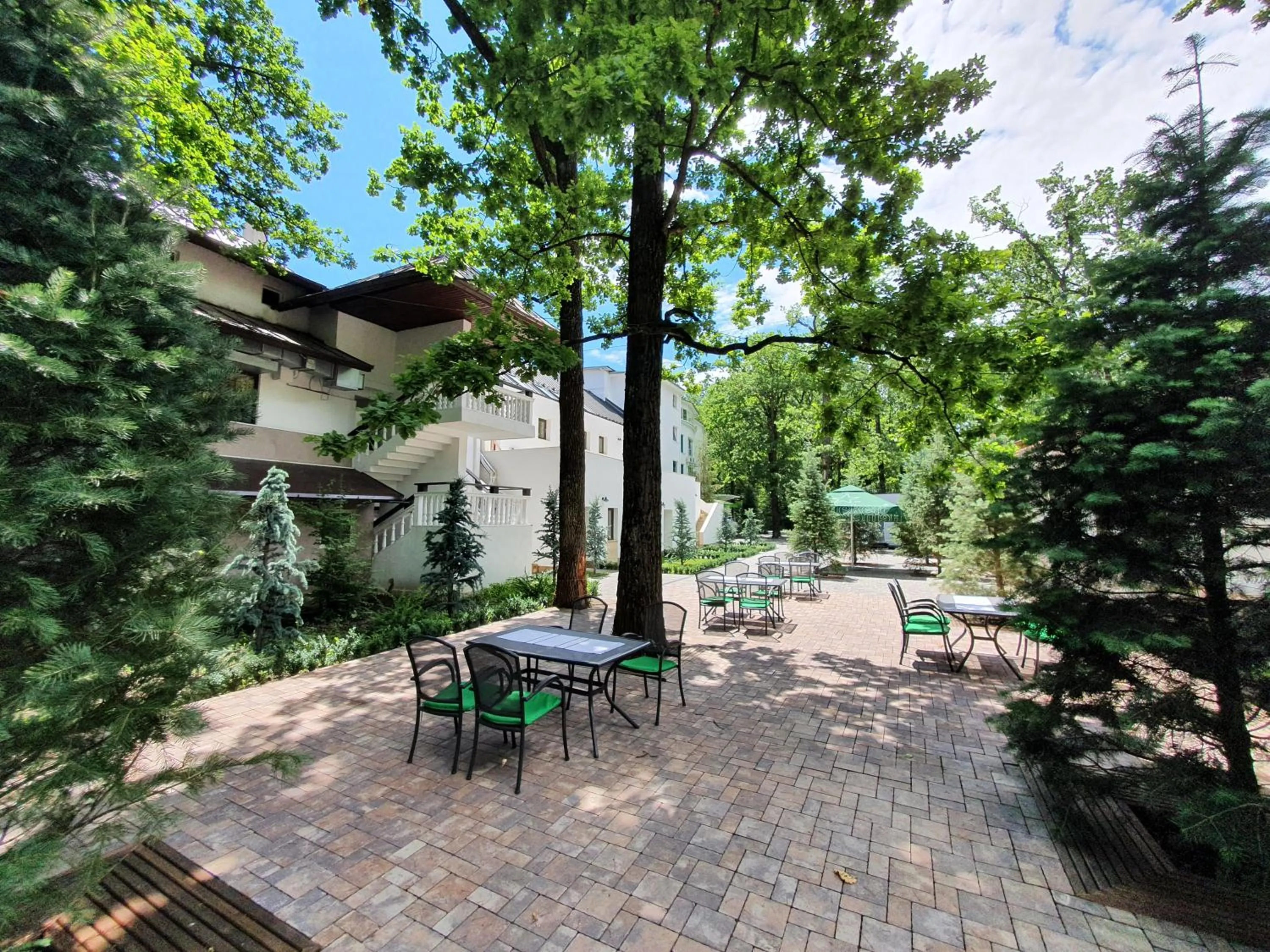 Garden in Hotel Cornul Vanatorului