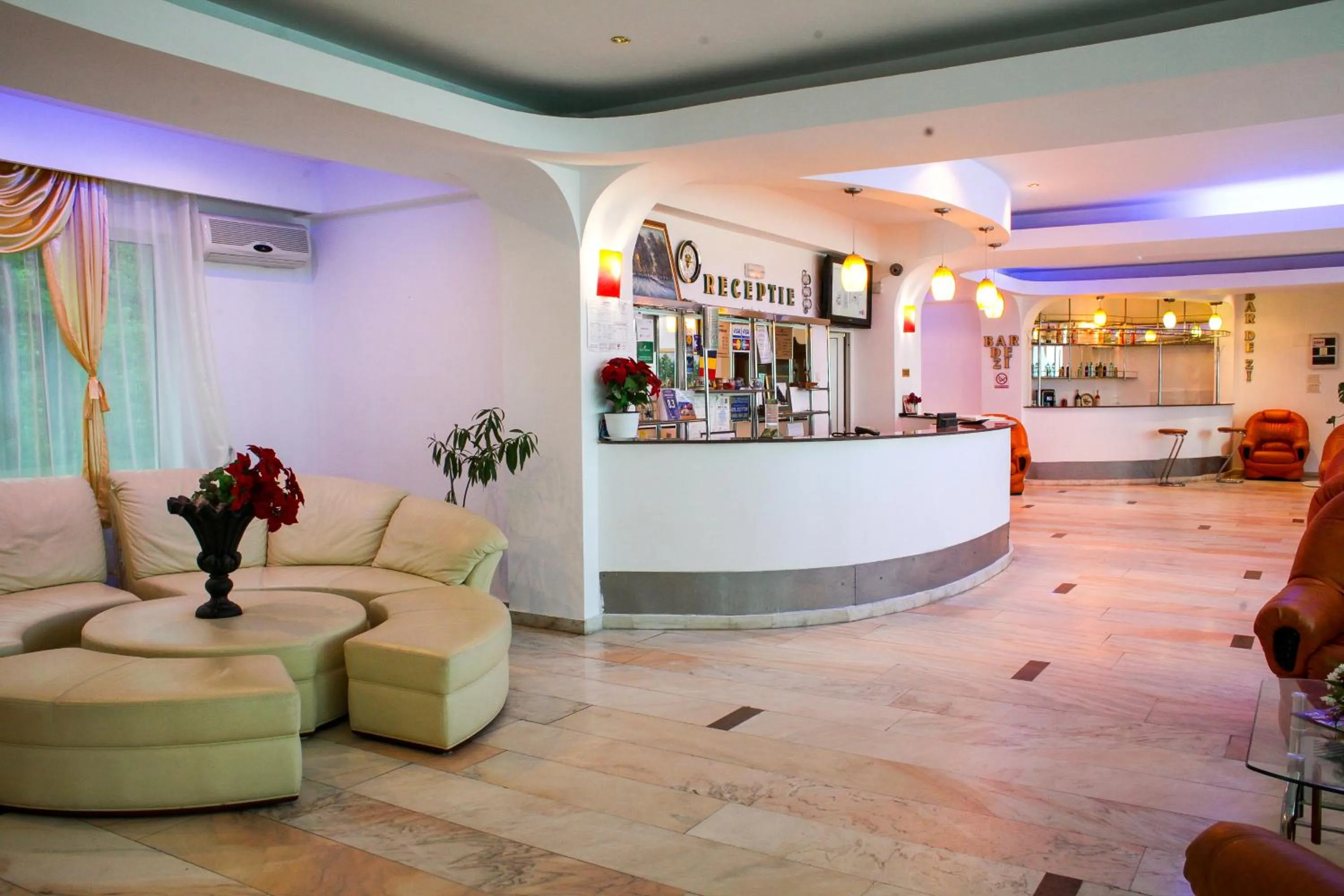 Lobby or reception in Hotel Cornul Vanatorului