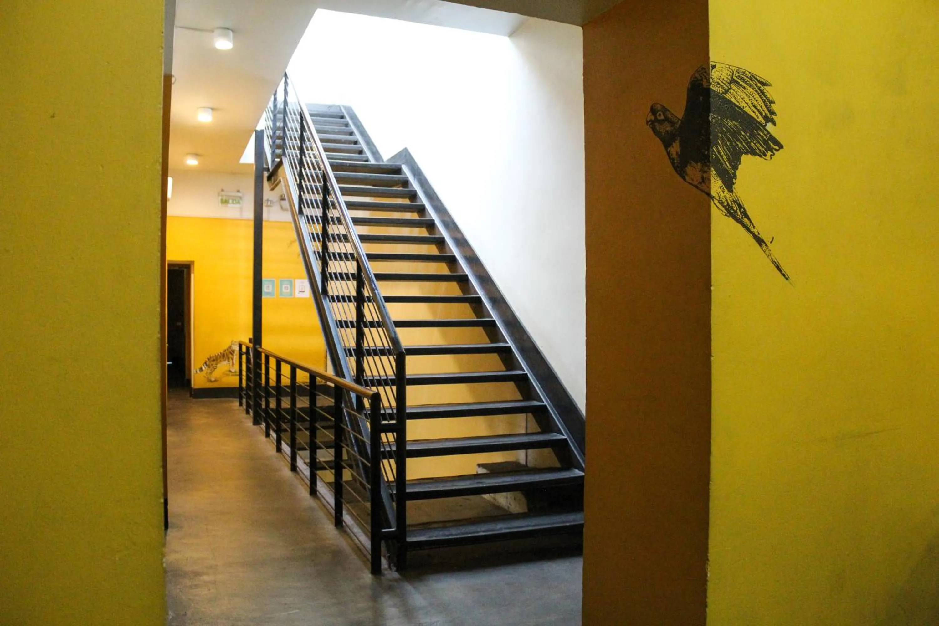 Area and facilities in Hostel Boutique Merced 88