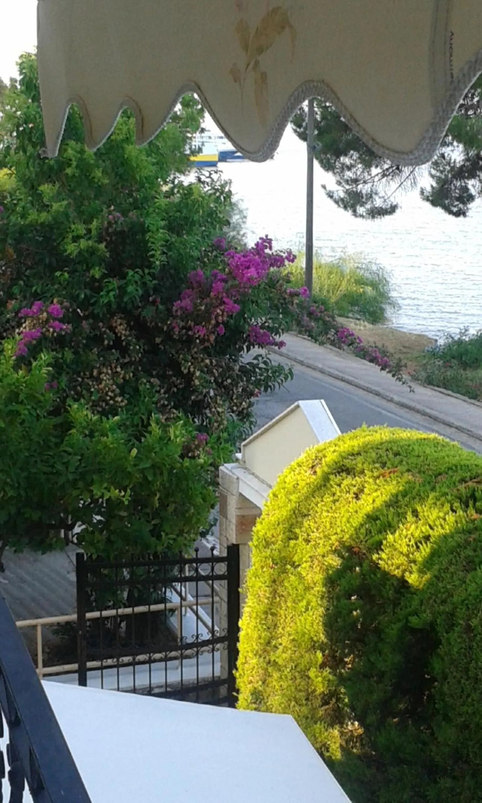 Street view in Hotel Romantica