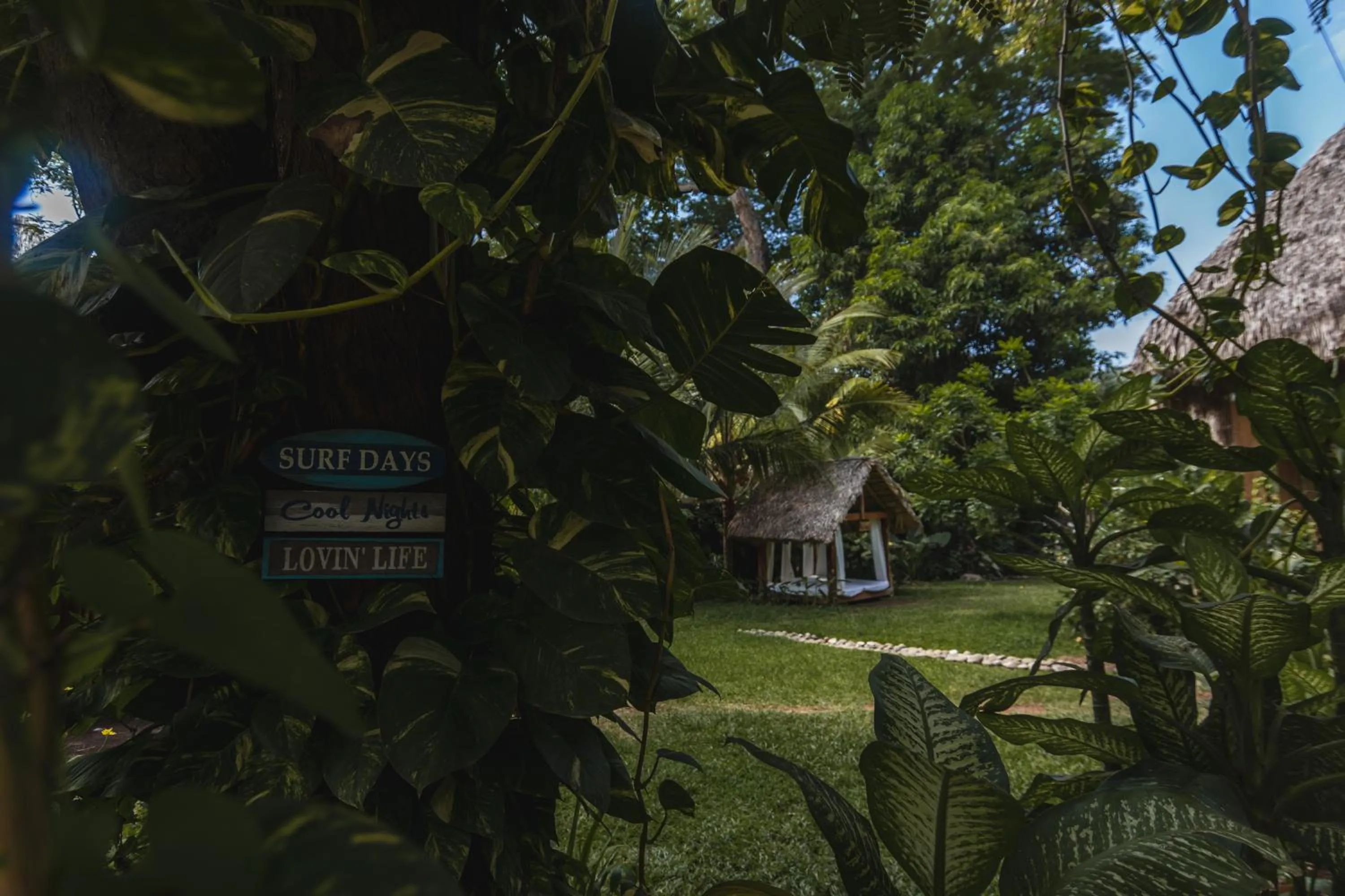 Natural landscape in Hotel Michanti