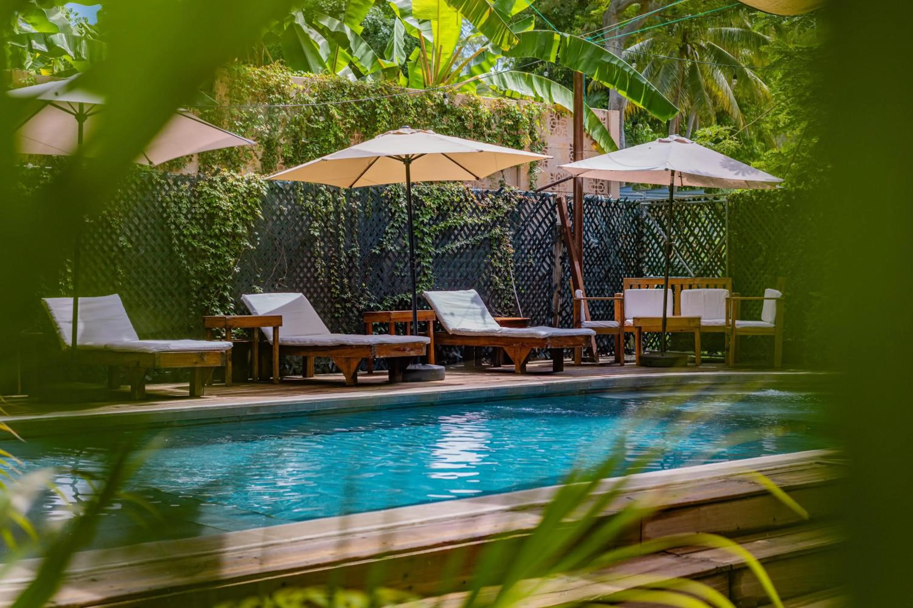 Garden view in Hotel Michanti