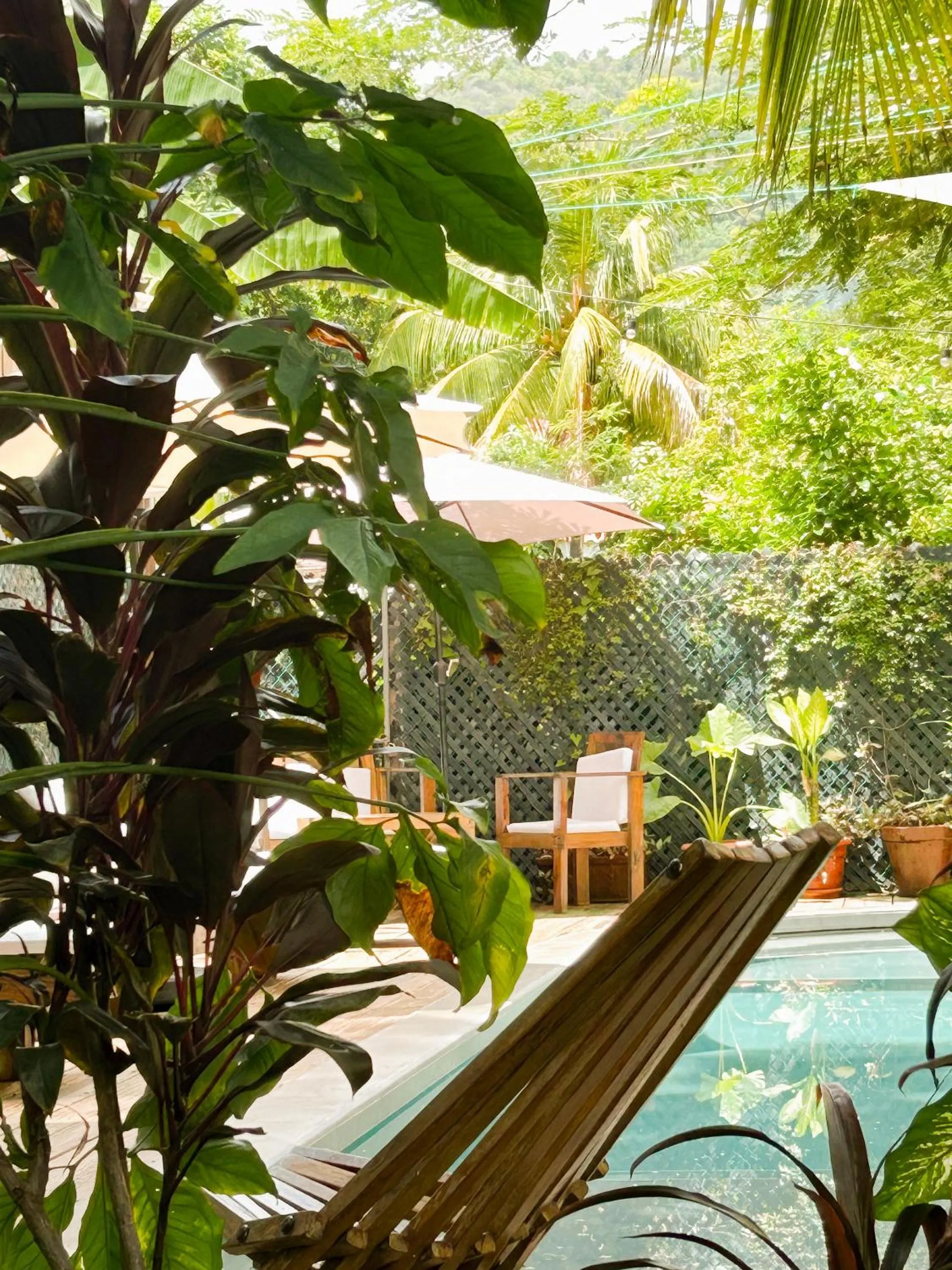 Garden in Hotel Michanti