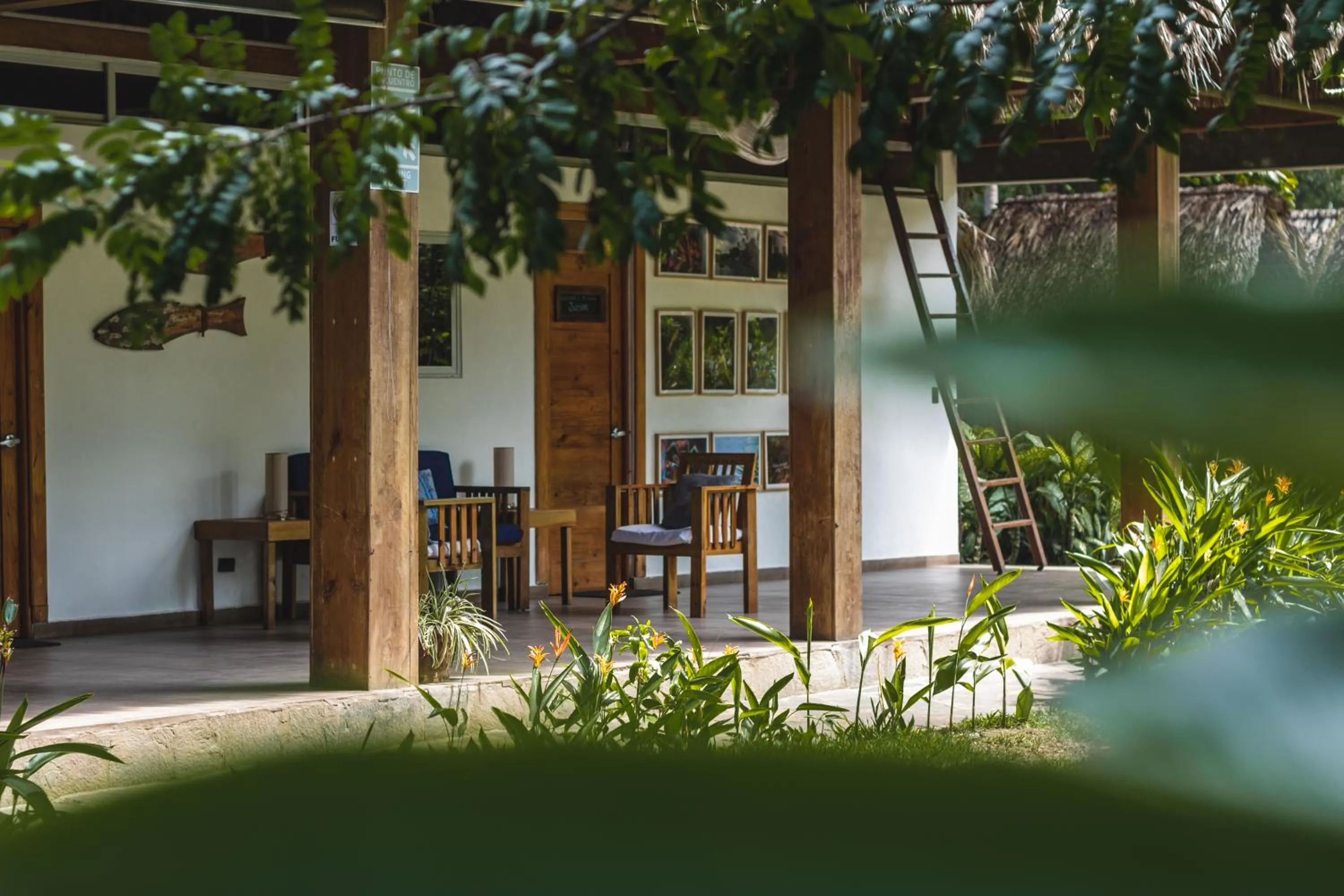 Day in Hotel Michanti