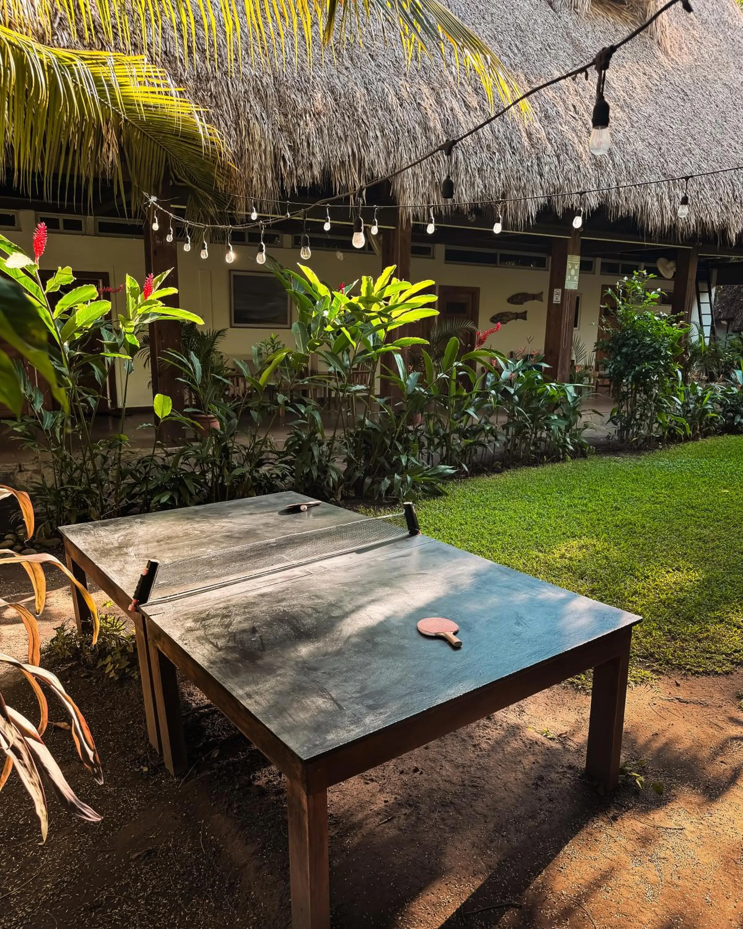 Patio in Hotel Michanti