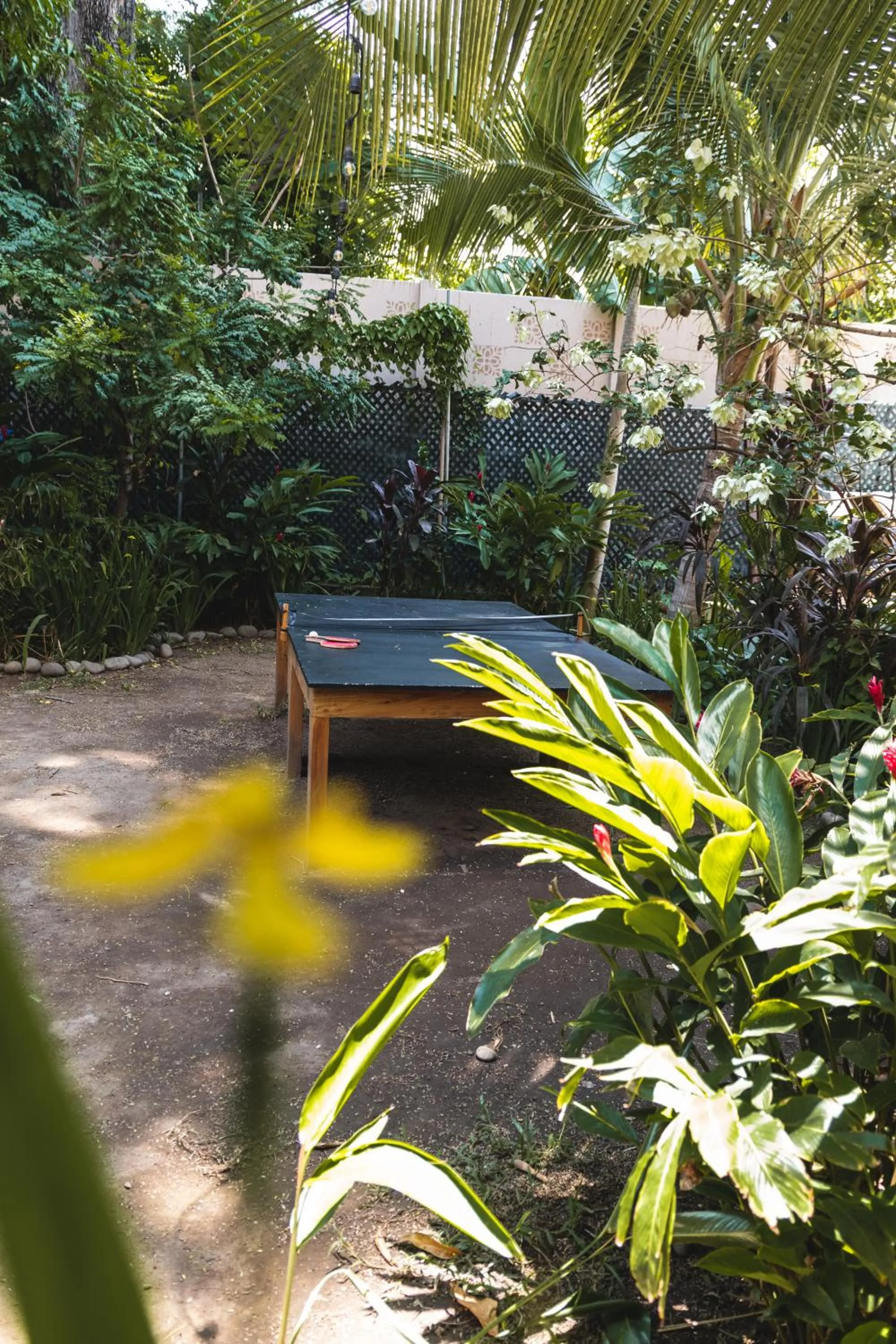 Garden in Hotel Michanti