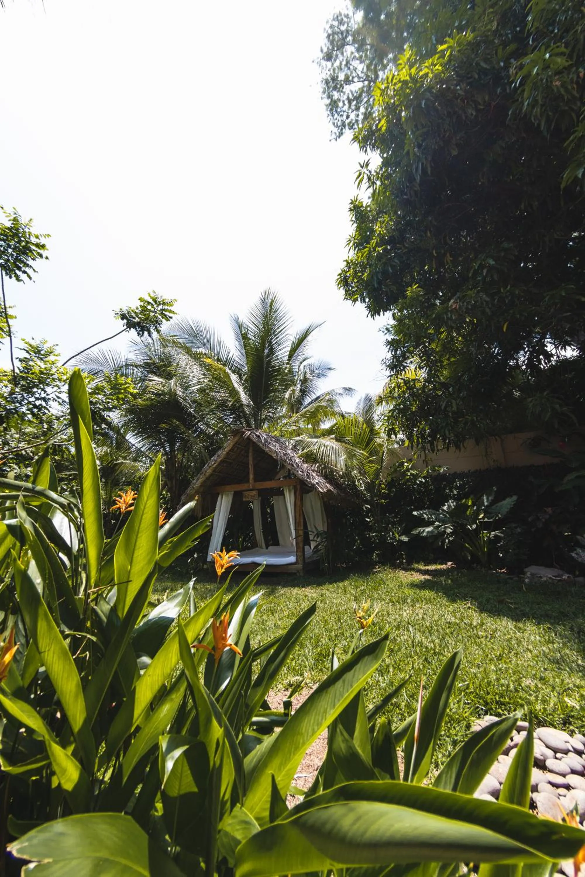 Garden in Hotel Michanti