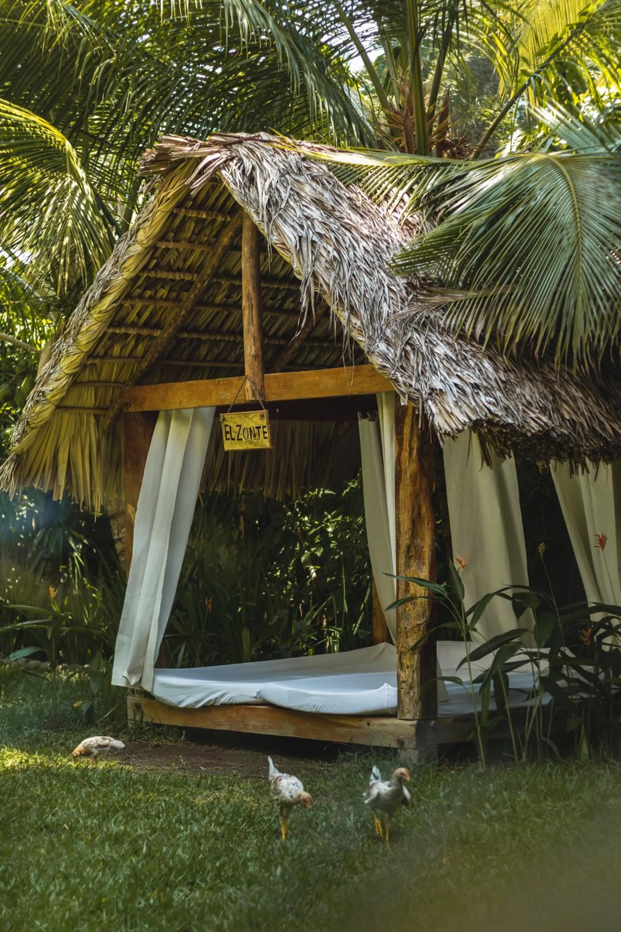 Garden view in Hotel Michanti