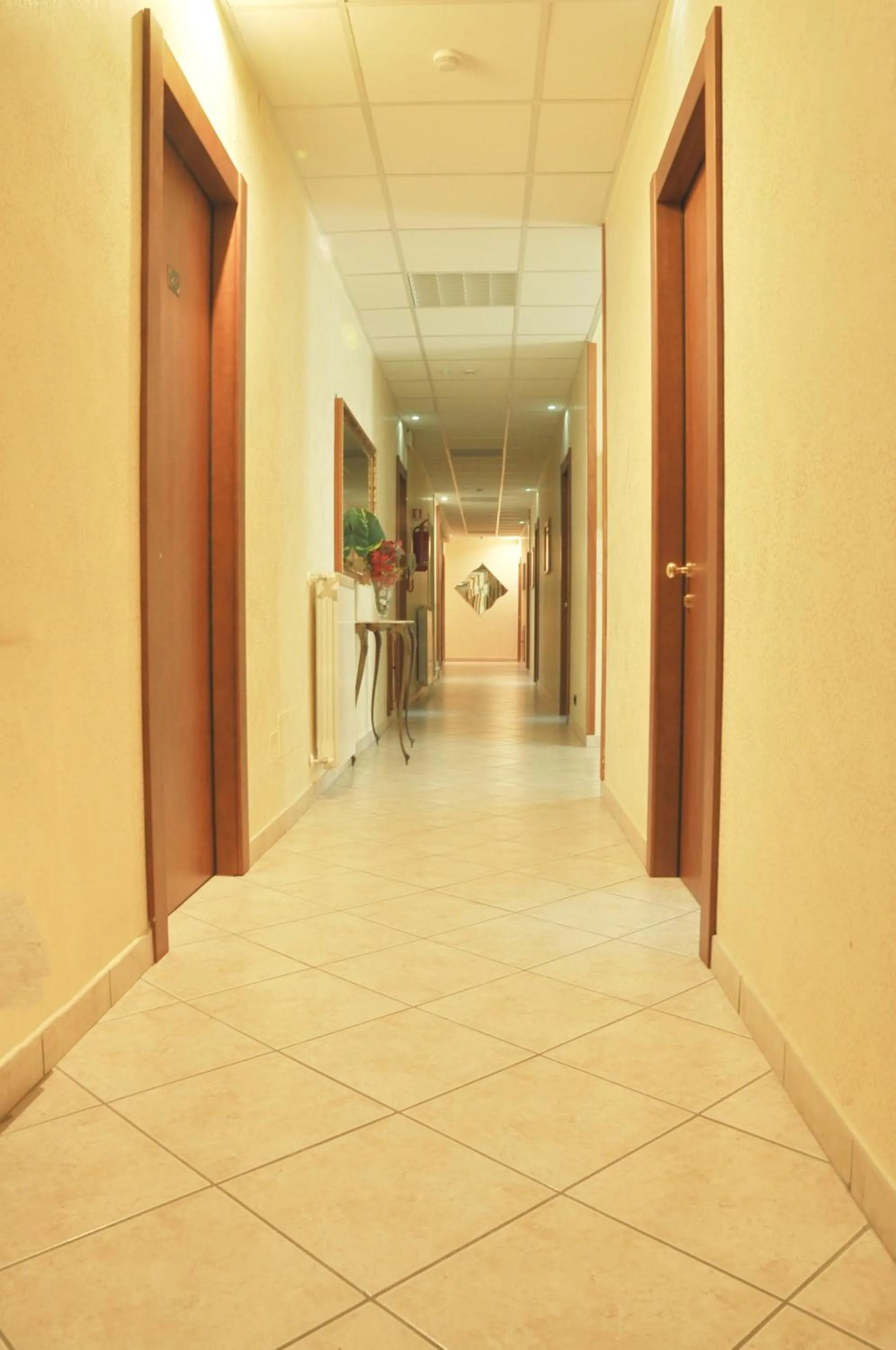 Area and facilities in Hotel Dei Pini