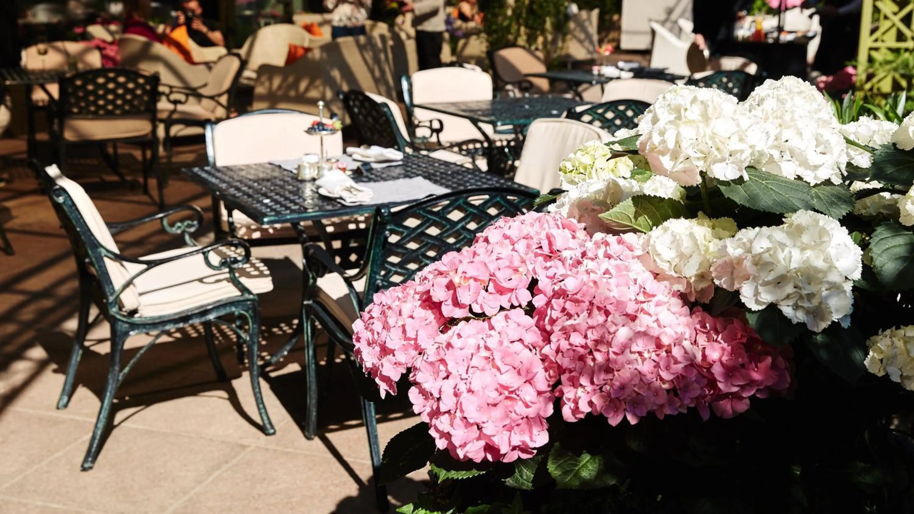 Restaurant/places to eat in InterContinental - Kyiv by IHG