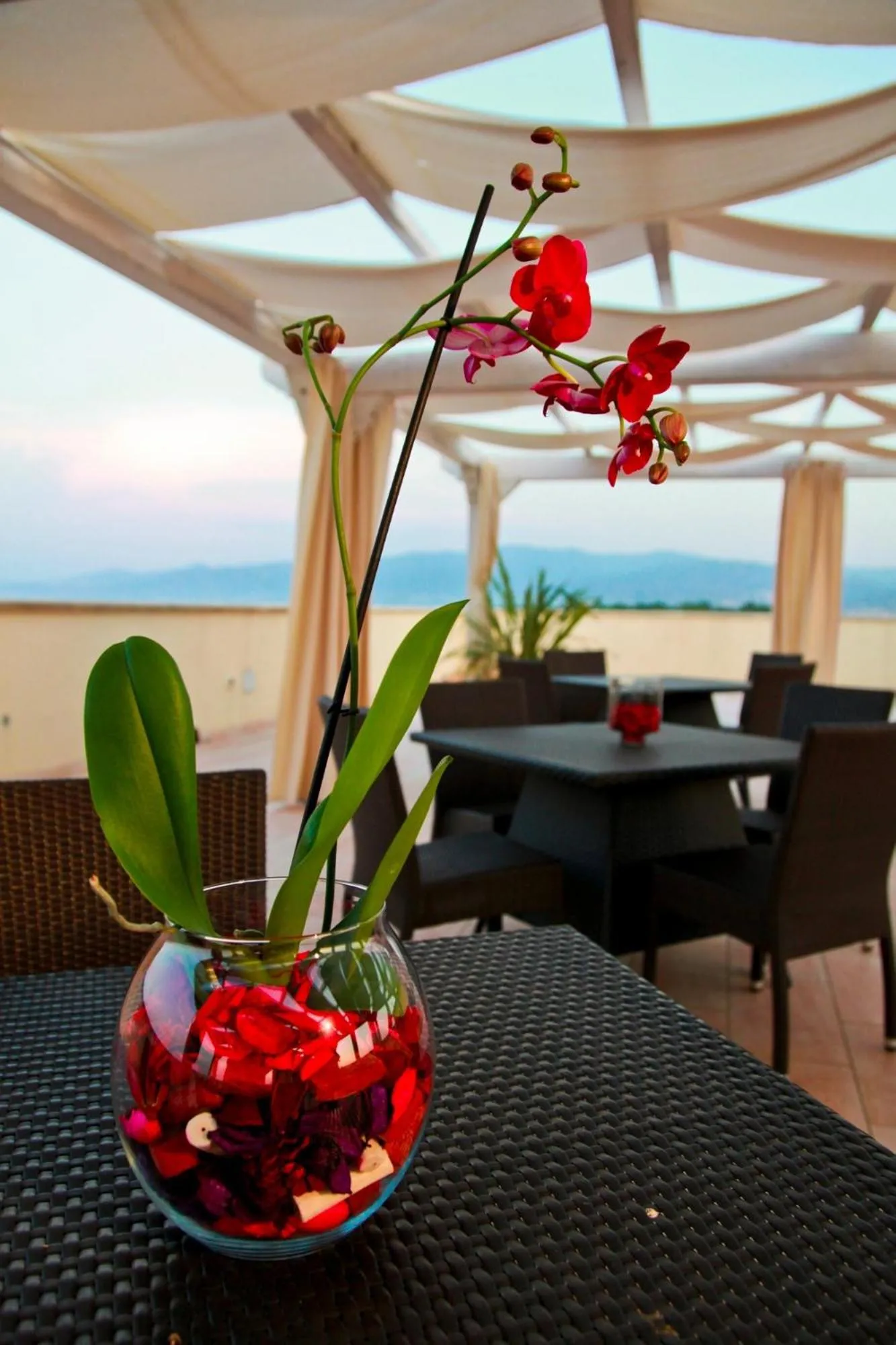 Balcony/Terrace in BV Airone Resort