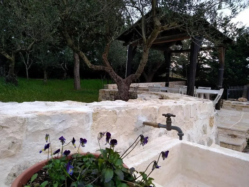 Garden view in Trulli Villa Gloria