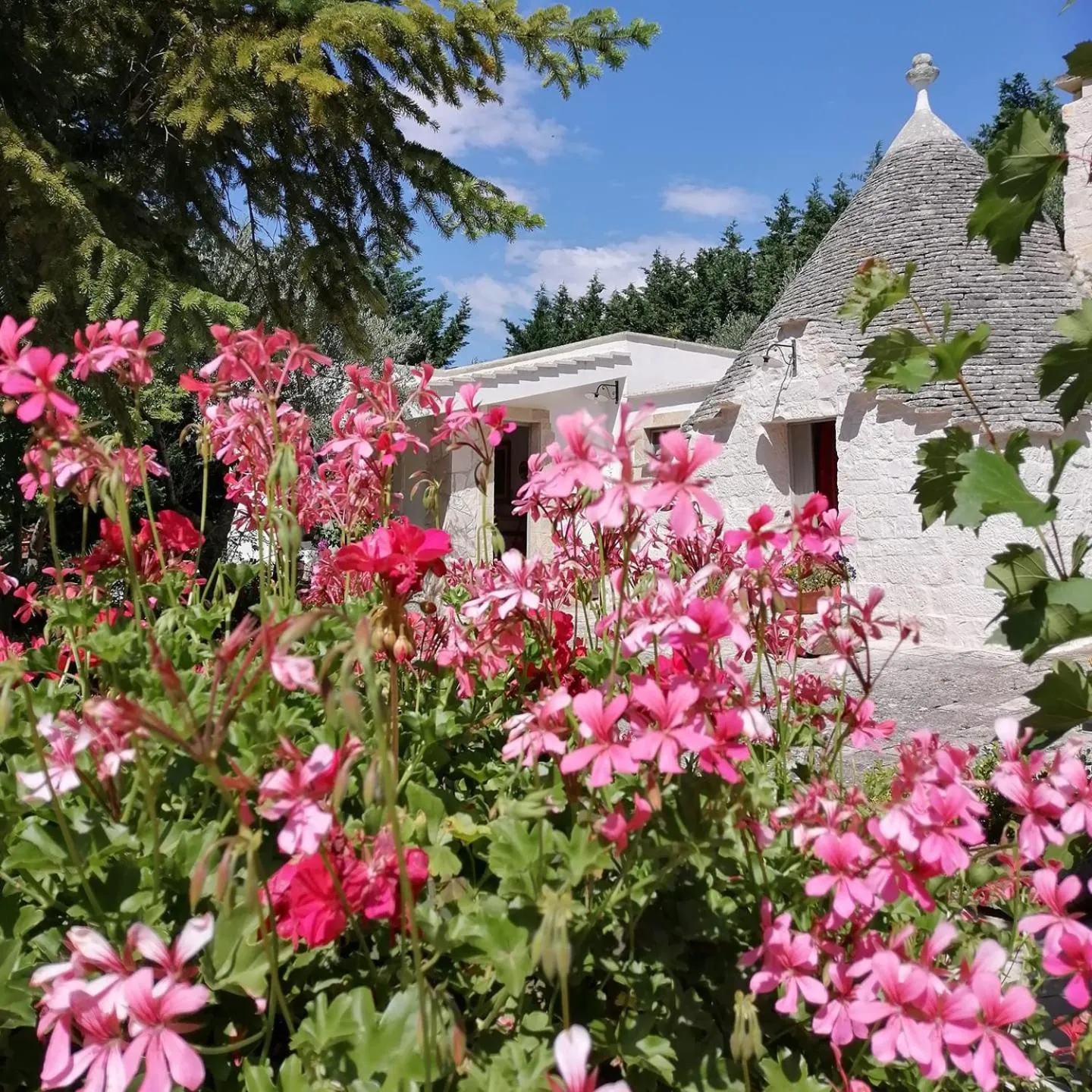 Garden view in Trulli Villa Gloria