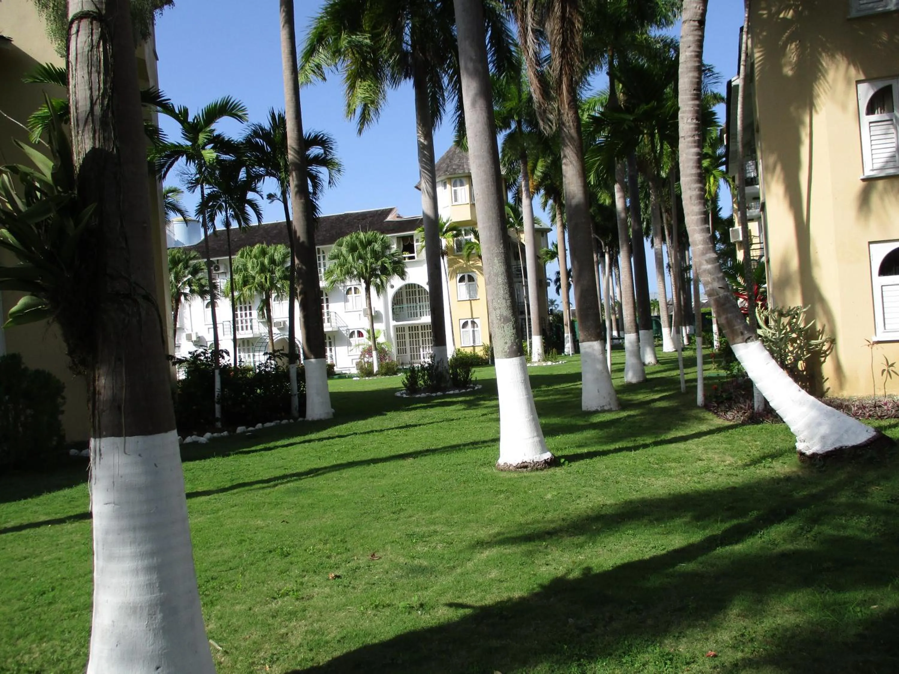 Garden in Sunnyview at Sandcastles