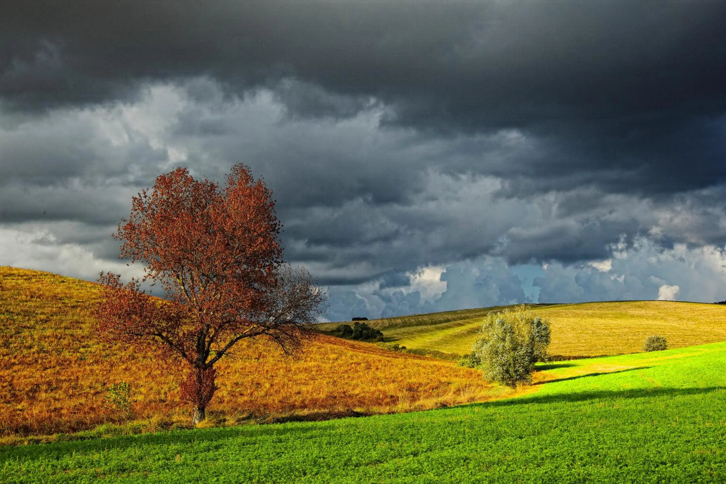 On site in Locanda La Gozzetta