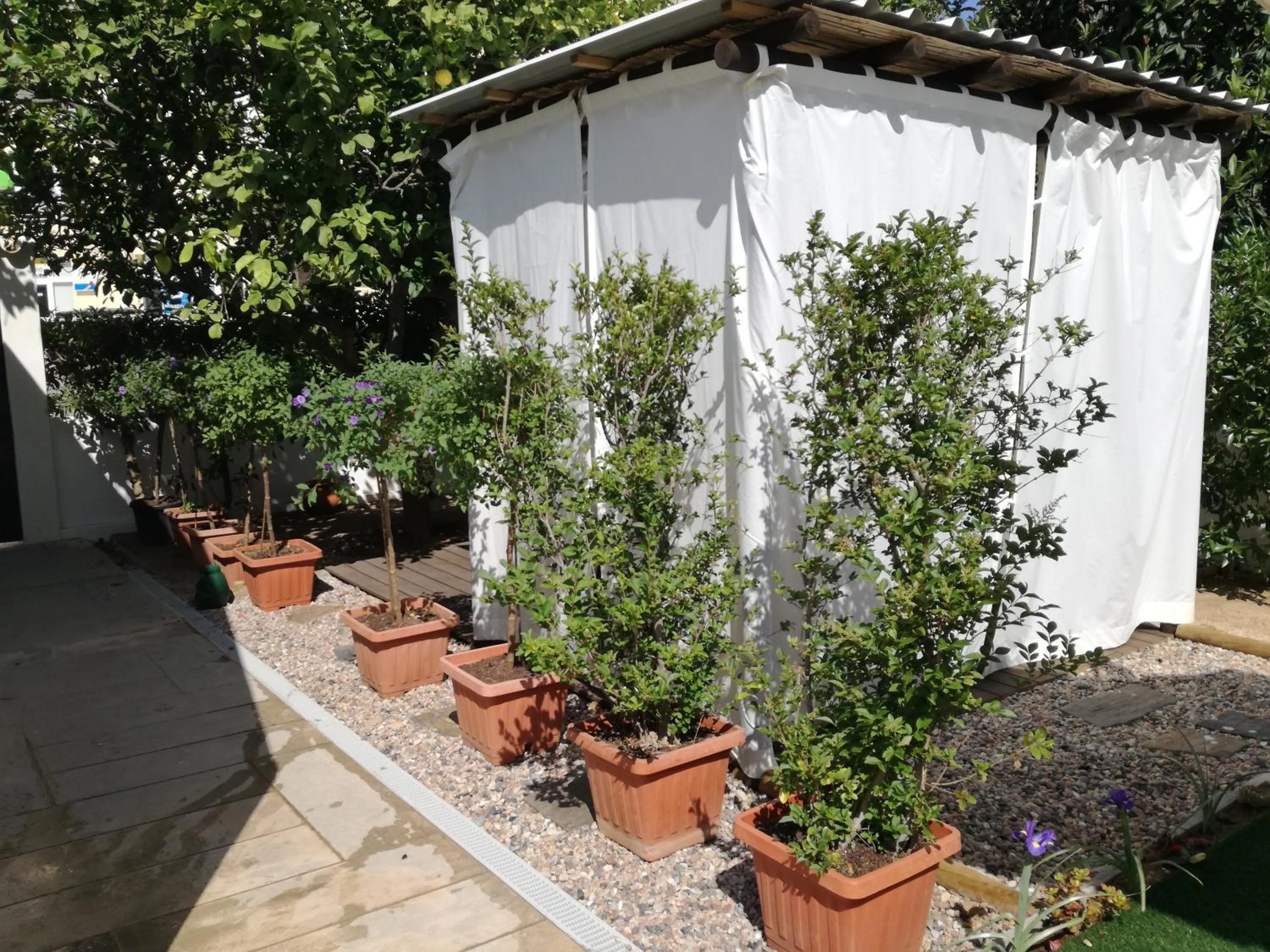 Patio in Sensations Guesthouse