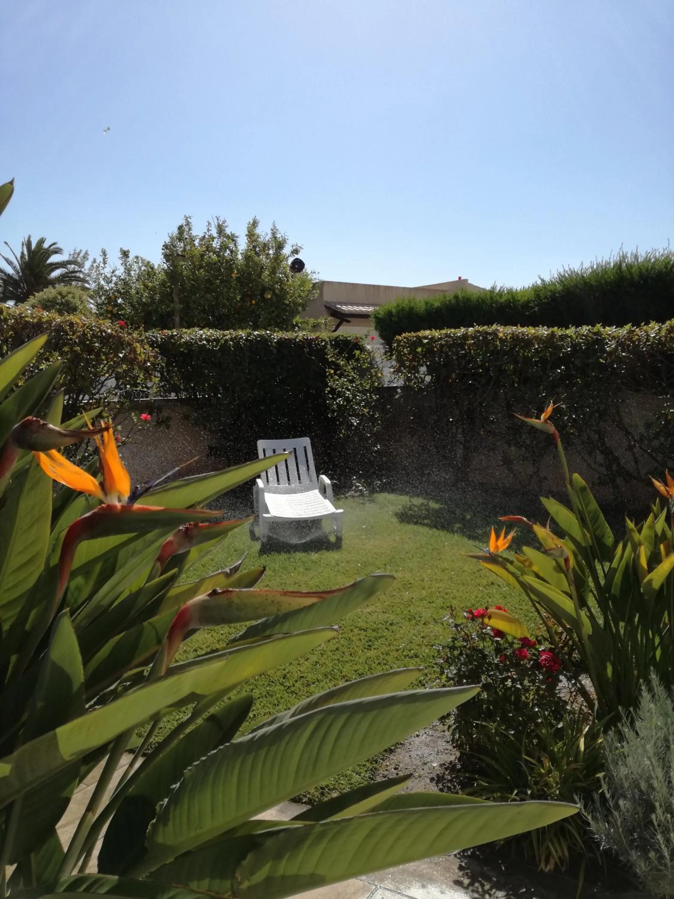 Garden in Sensations Guesthouse